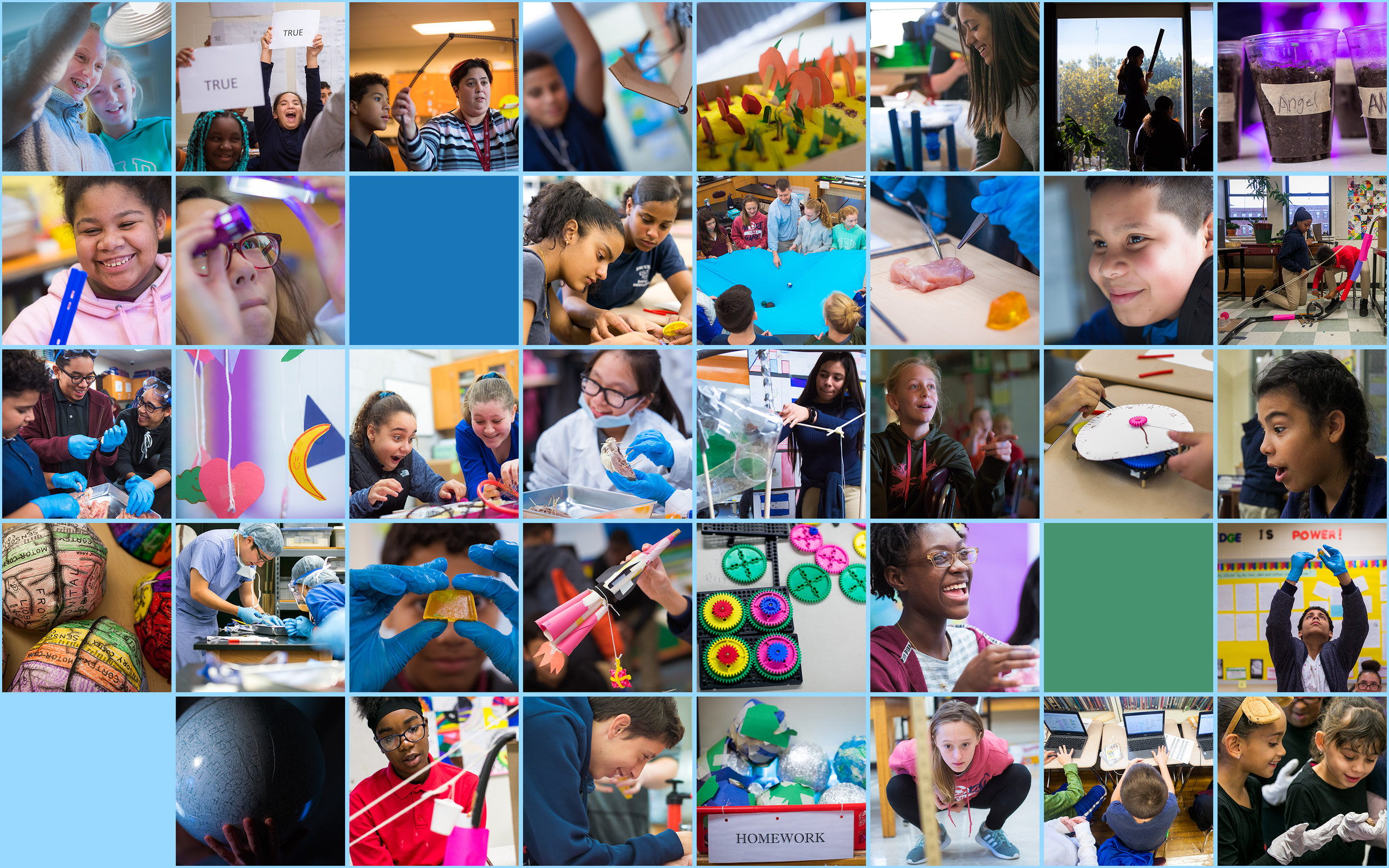 2019 MSW Web Banner.jpg