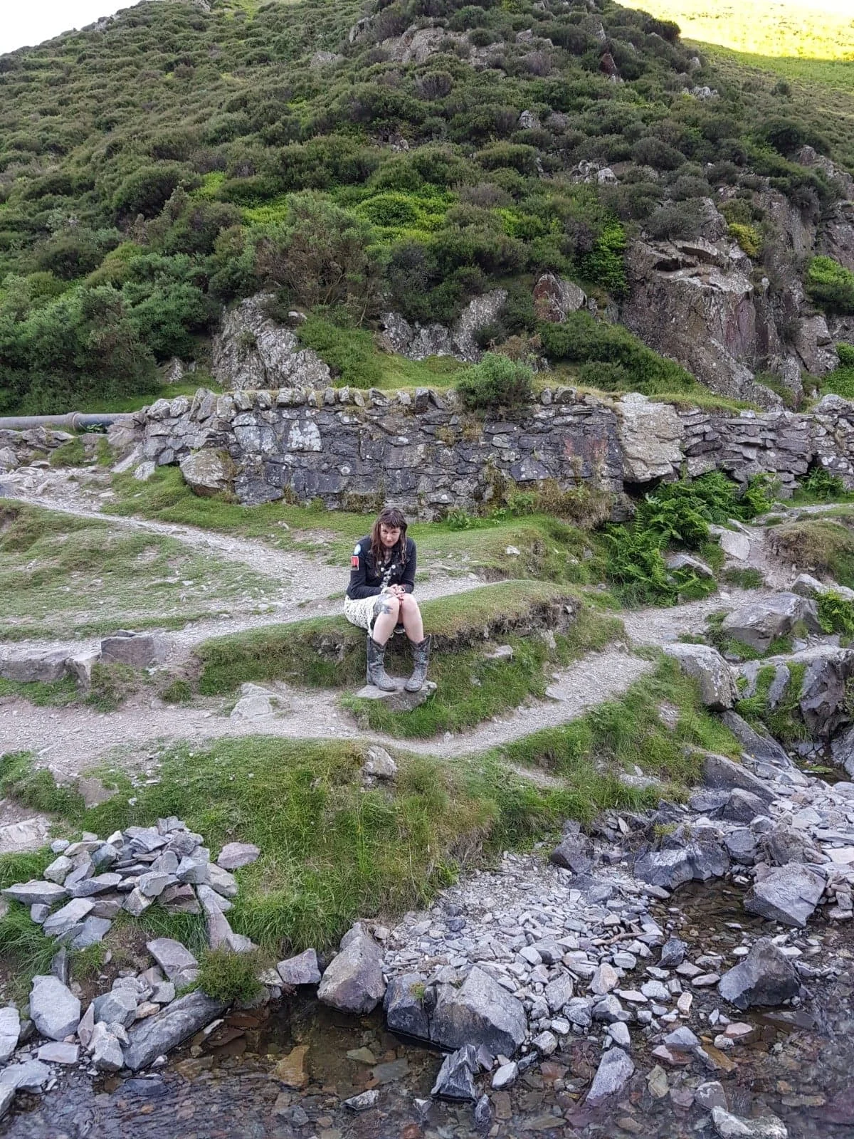 thelongmynd.jpeg
