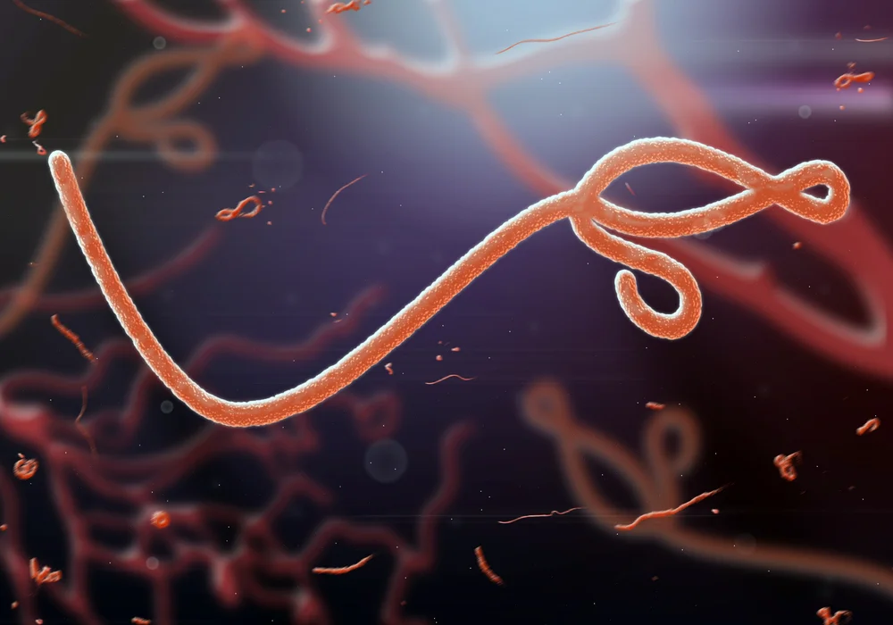 ebola.jpg
