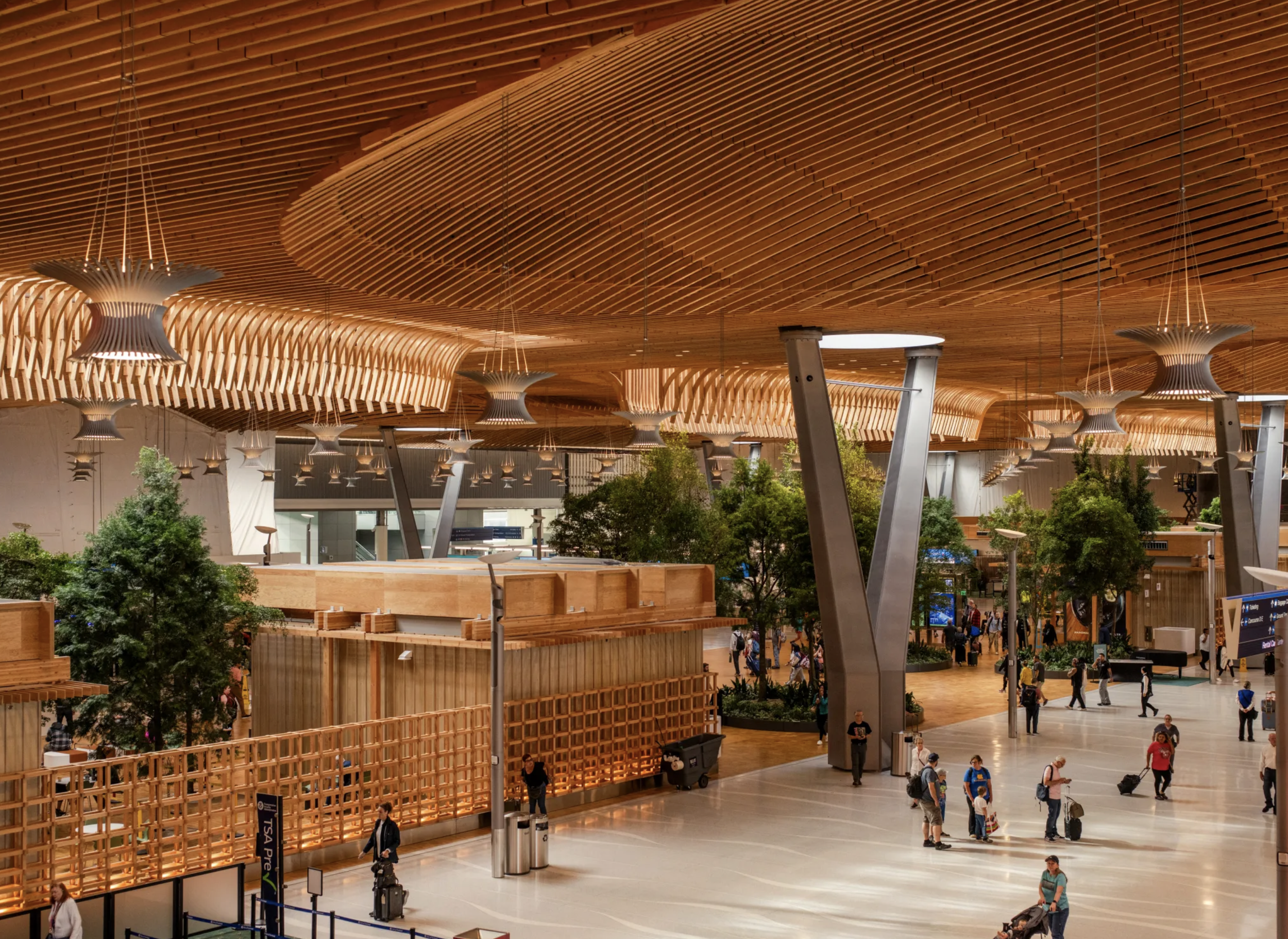 The Future of Travel is Wood: Opening the World's Largest Mass Timber Airport