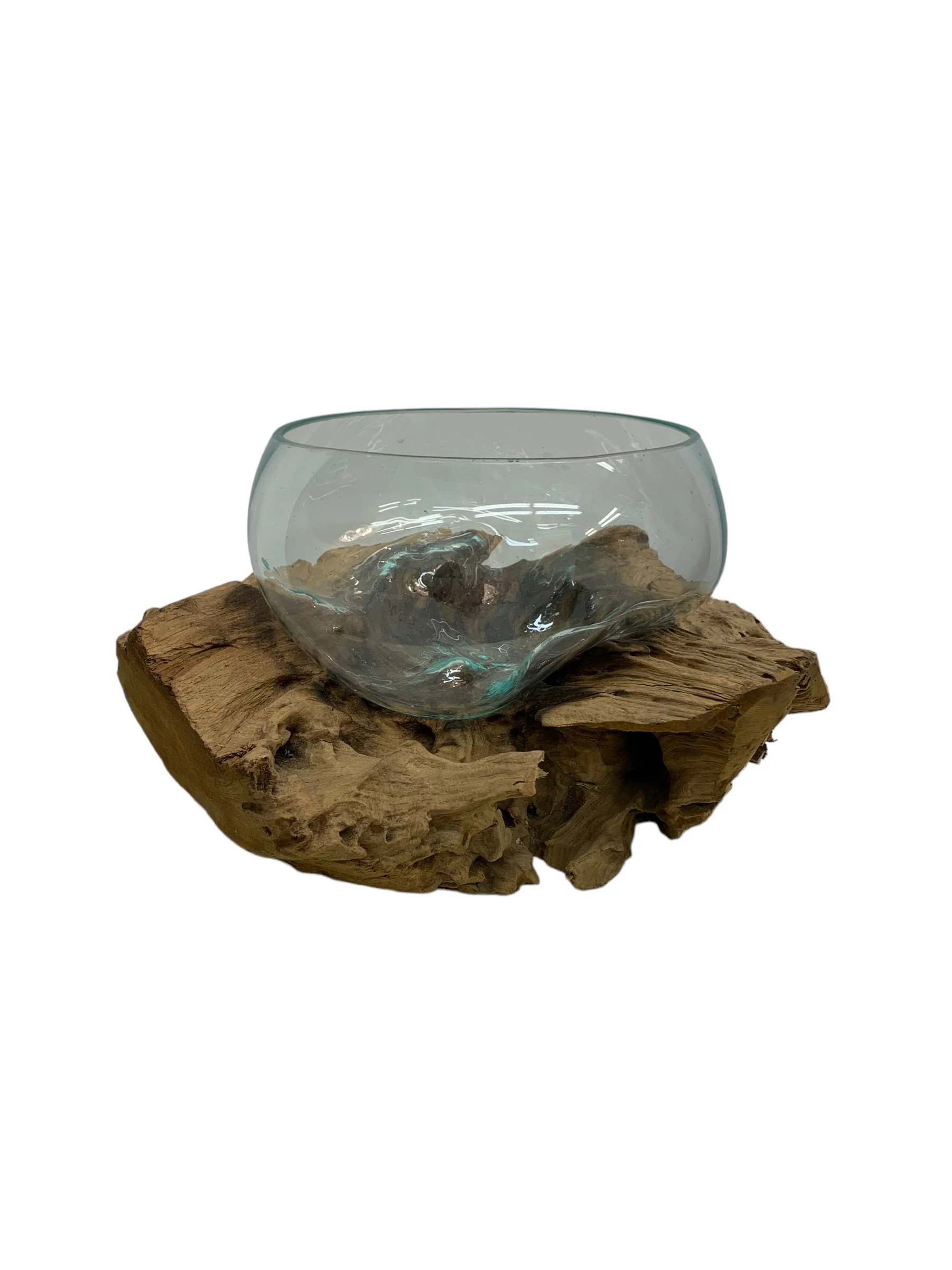Round Bulb Bowl Terrarium