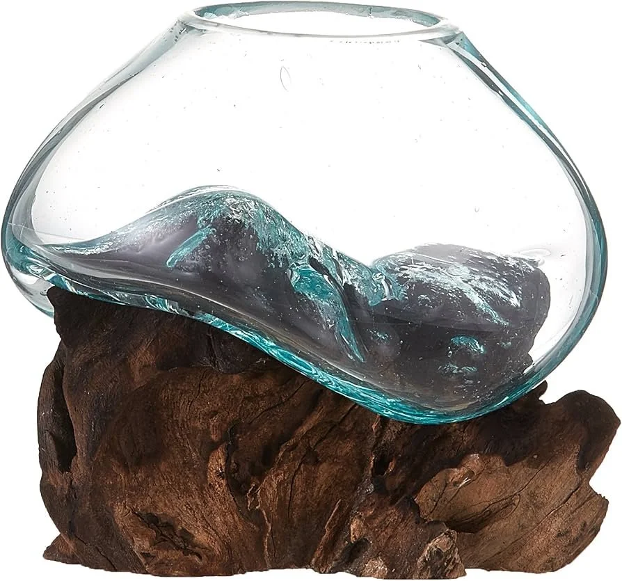 Medium Glass and Driftwood Terrarium
