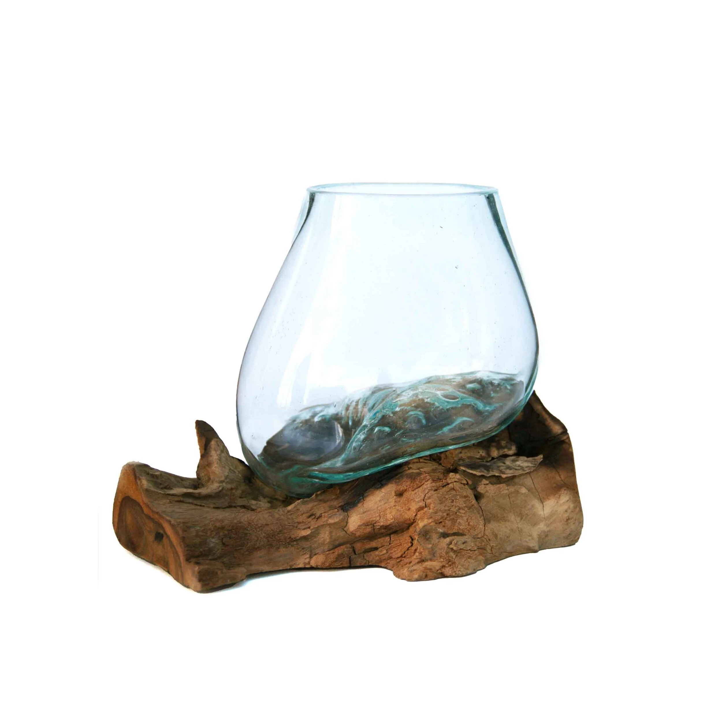 Extra Small Glass and Driftwood Terrarium