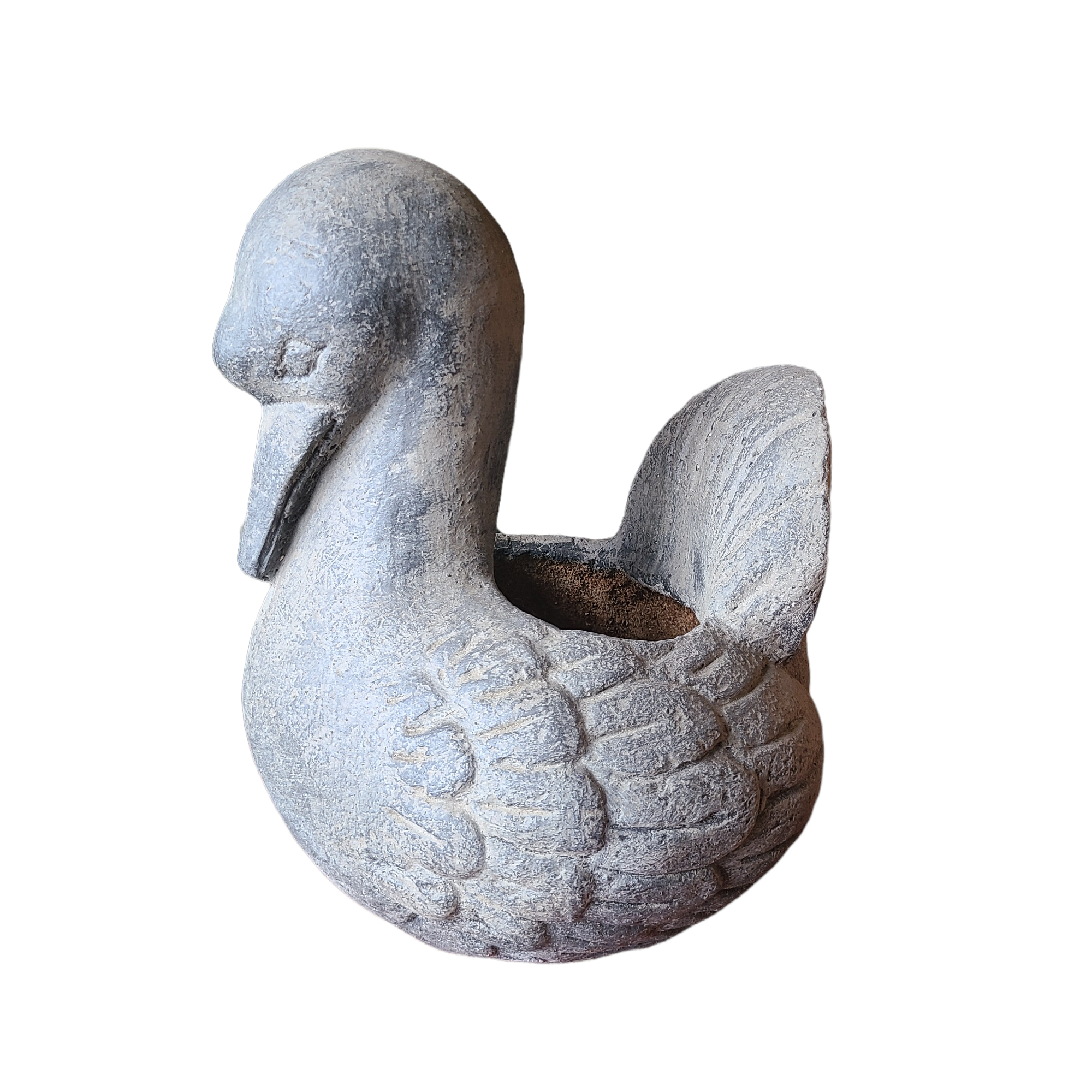 grey swan planter.png