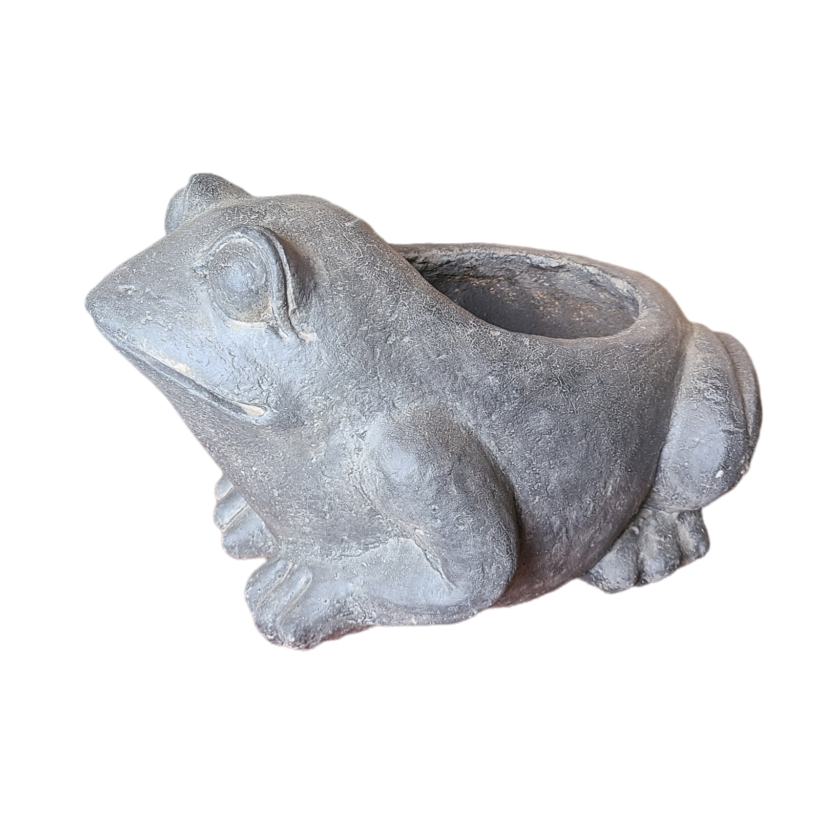 lg grey frog planter.png
