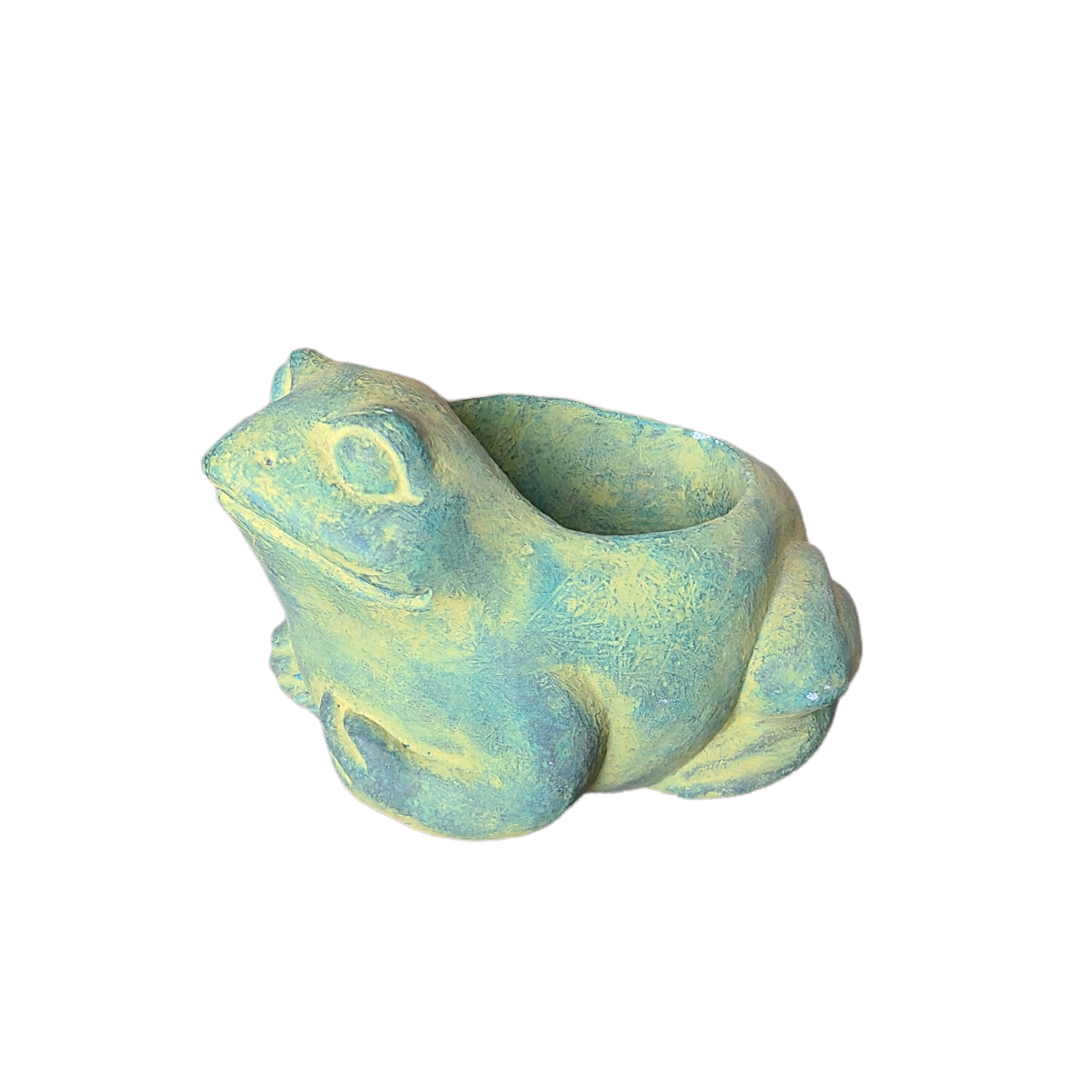 tiny green frog.png