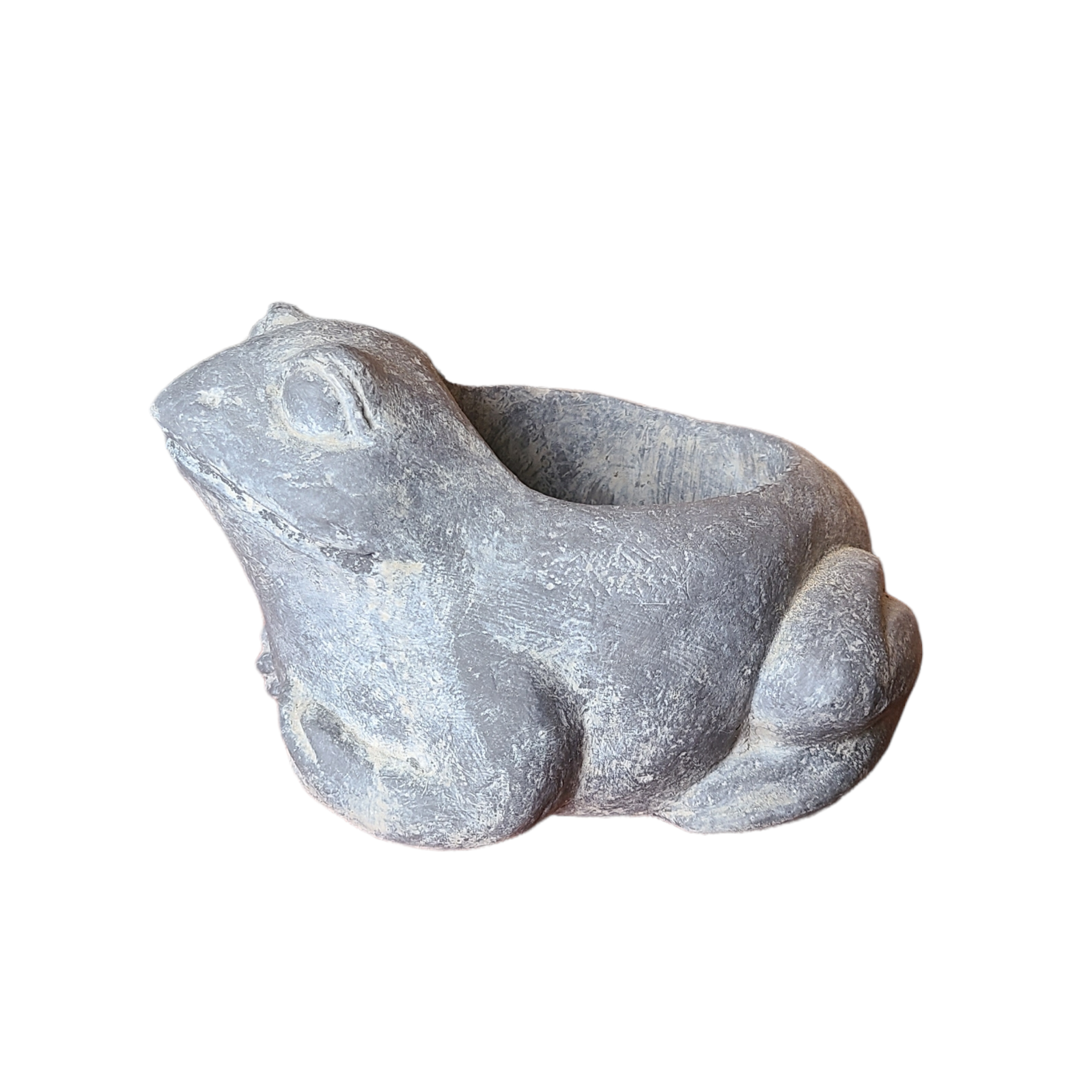 tiny grey frog.png