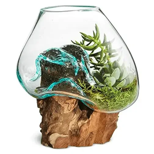 Molten Glass & Wood Terrarium