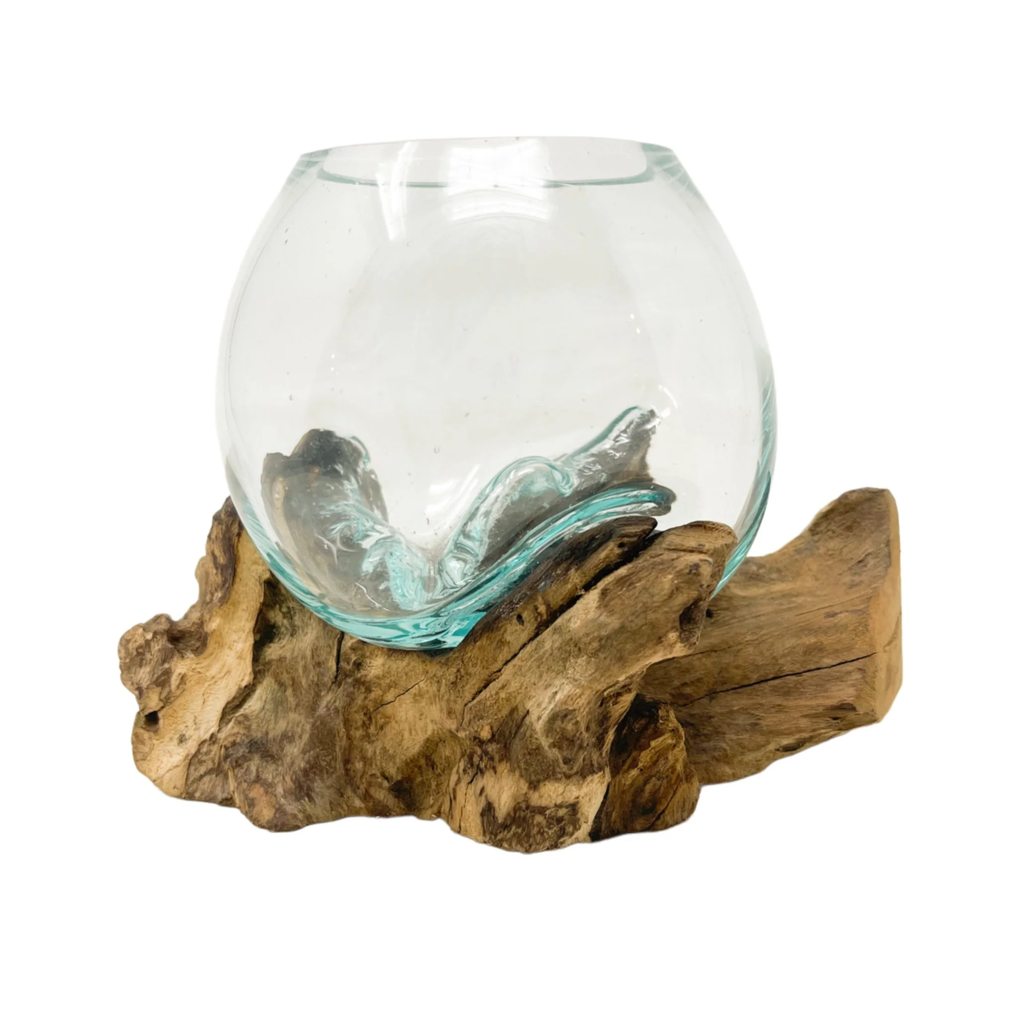 Tiny Glass and Driftwood Terrarium