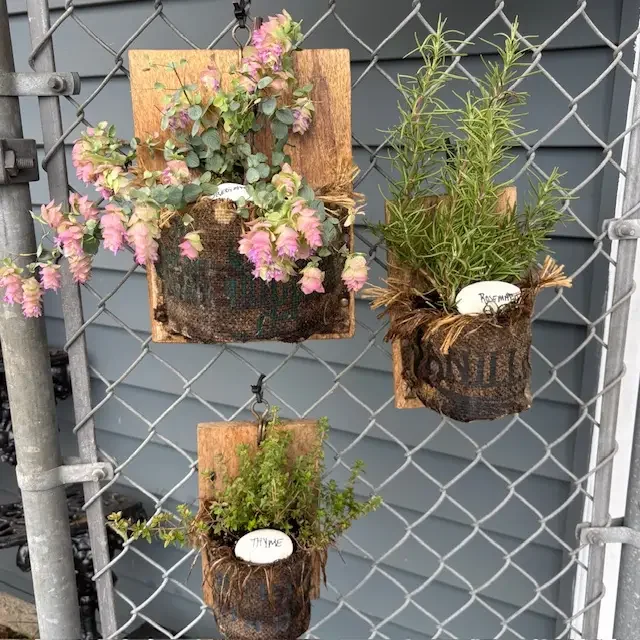 8b5f8a9cb06ed29ddd44c93cd4dc476a44df4a2276bea2088d42b1a4c6bfb545.webp (Copy)