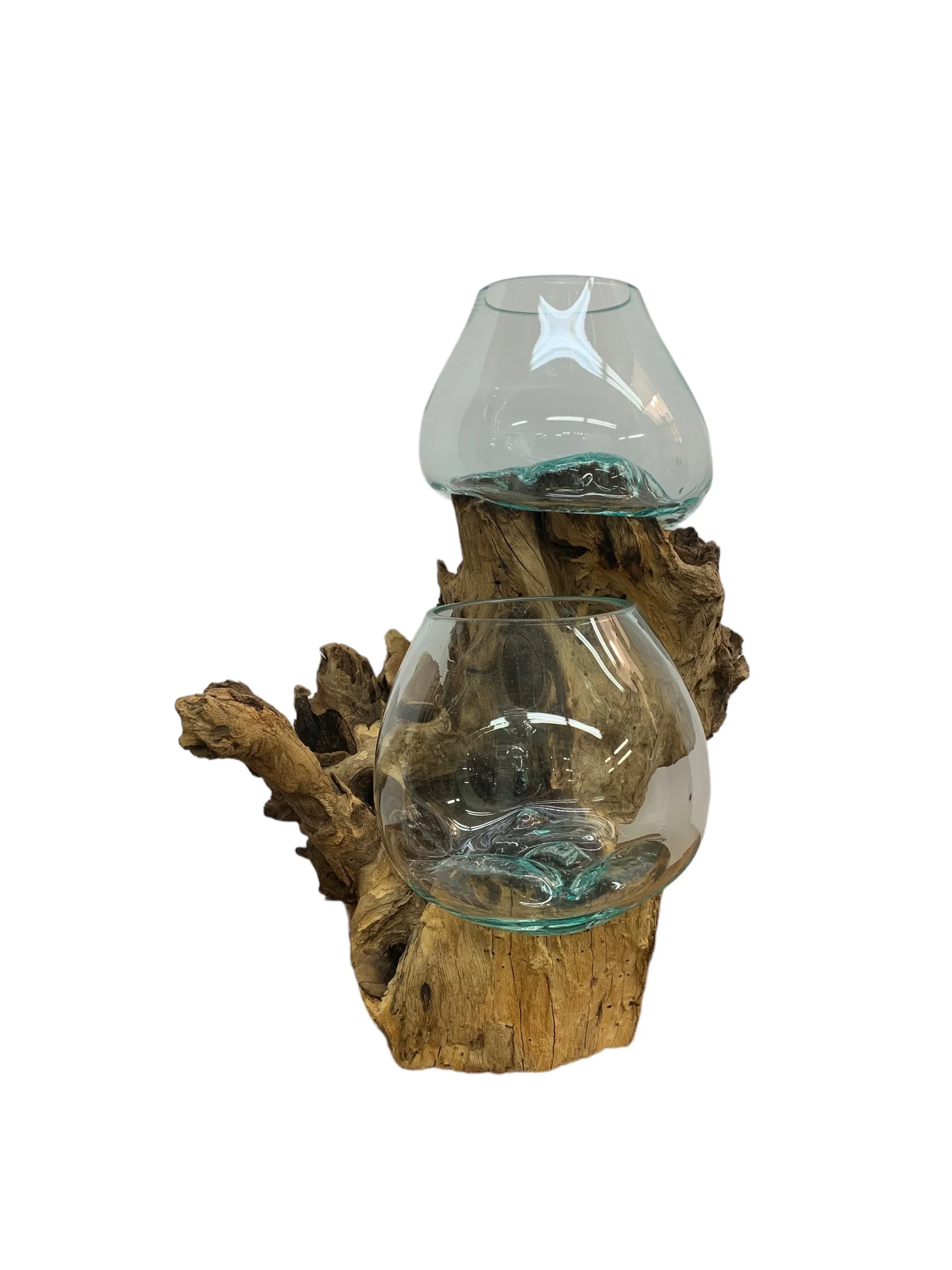Double Tabletop Terrarium Trees
