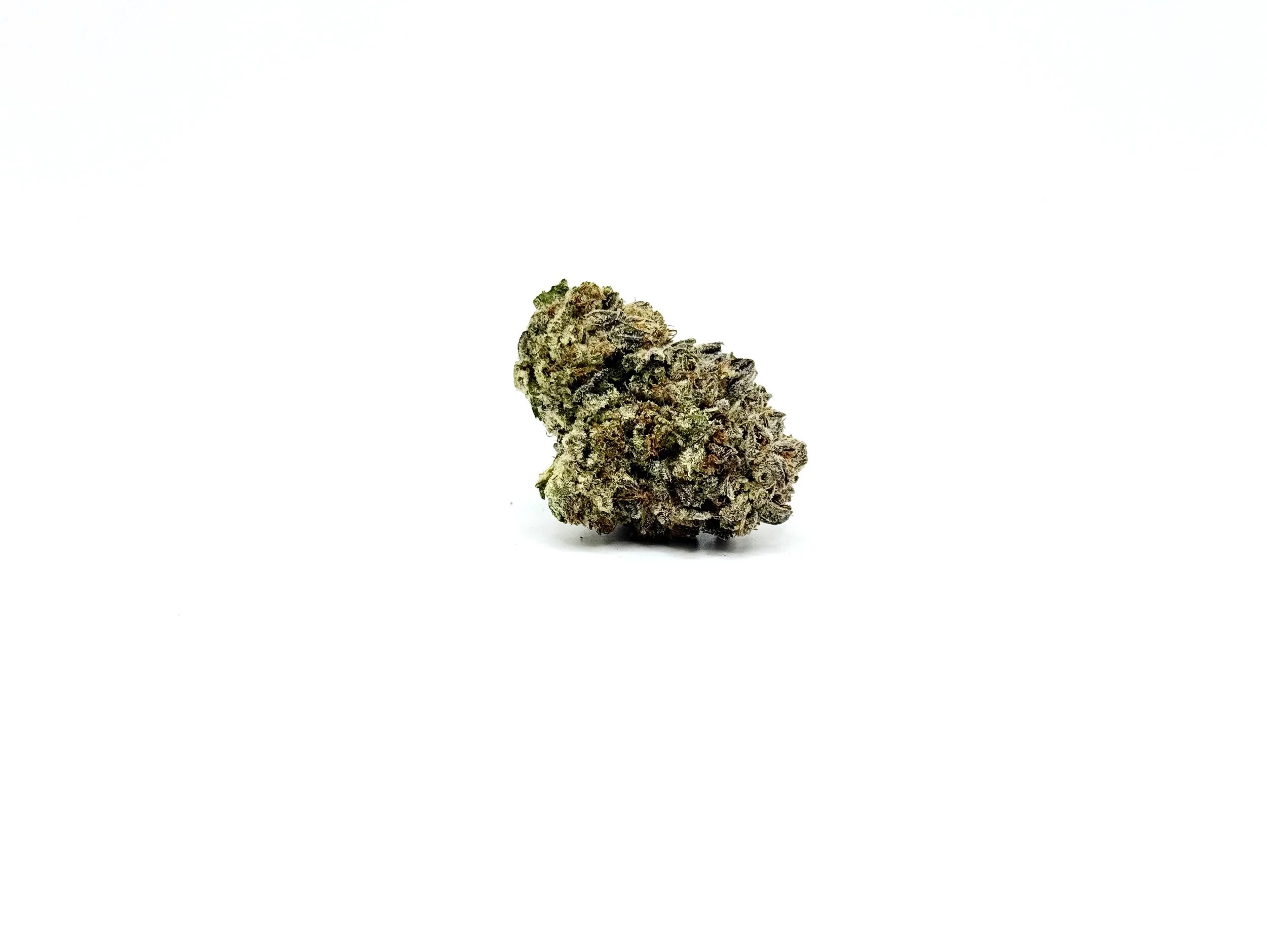 Gelato King