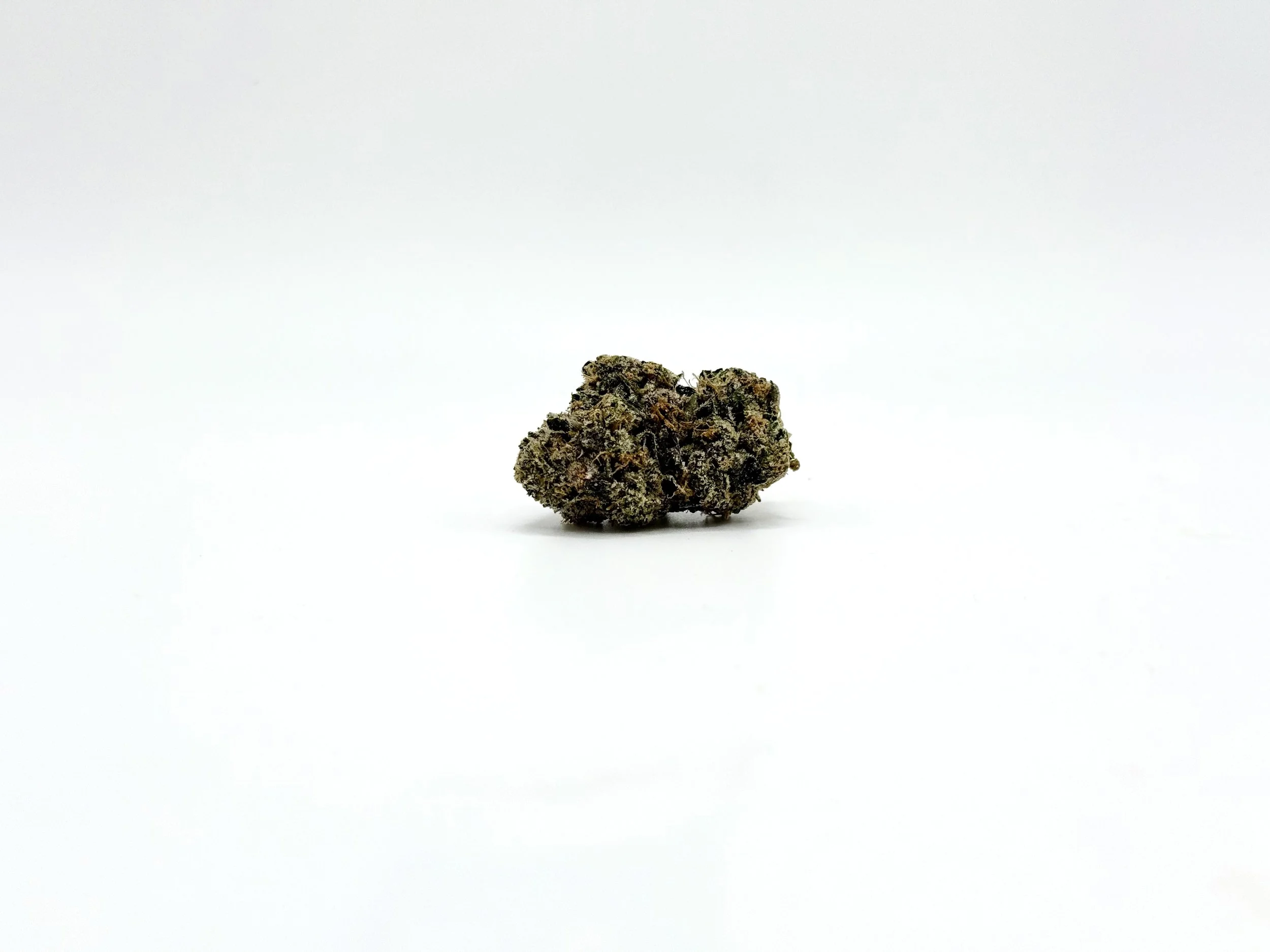 Sugar Cookies Strain