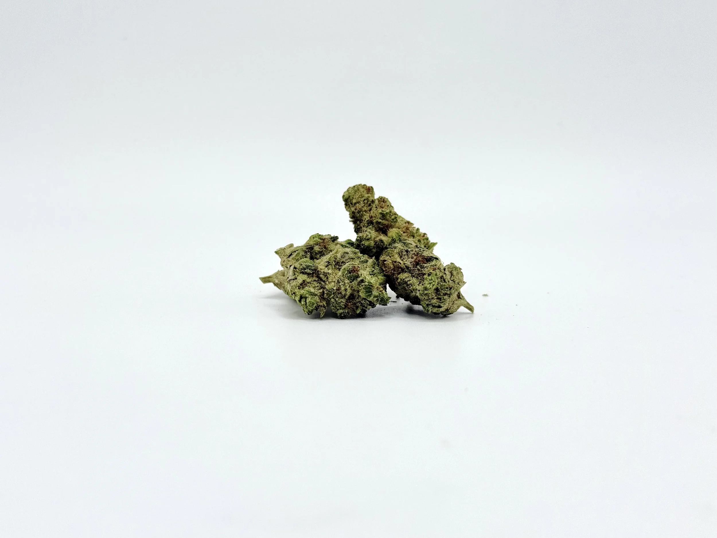 Critical Kush Strain