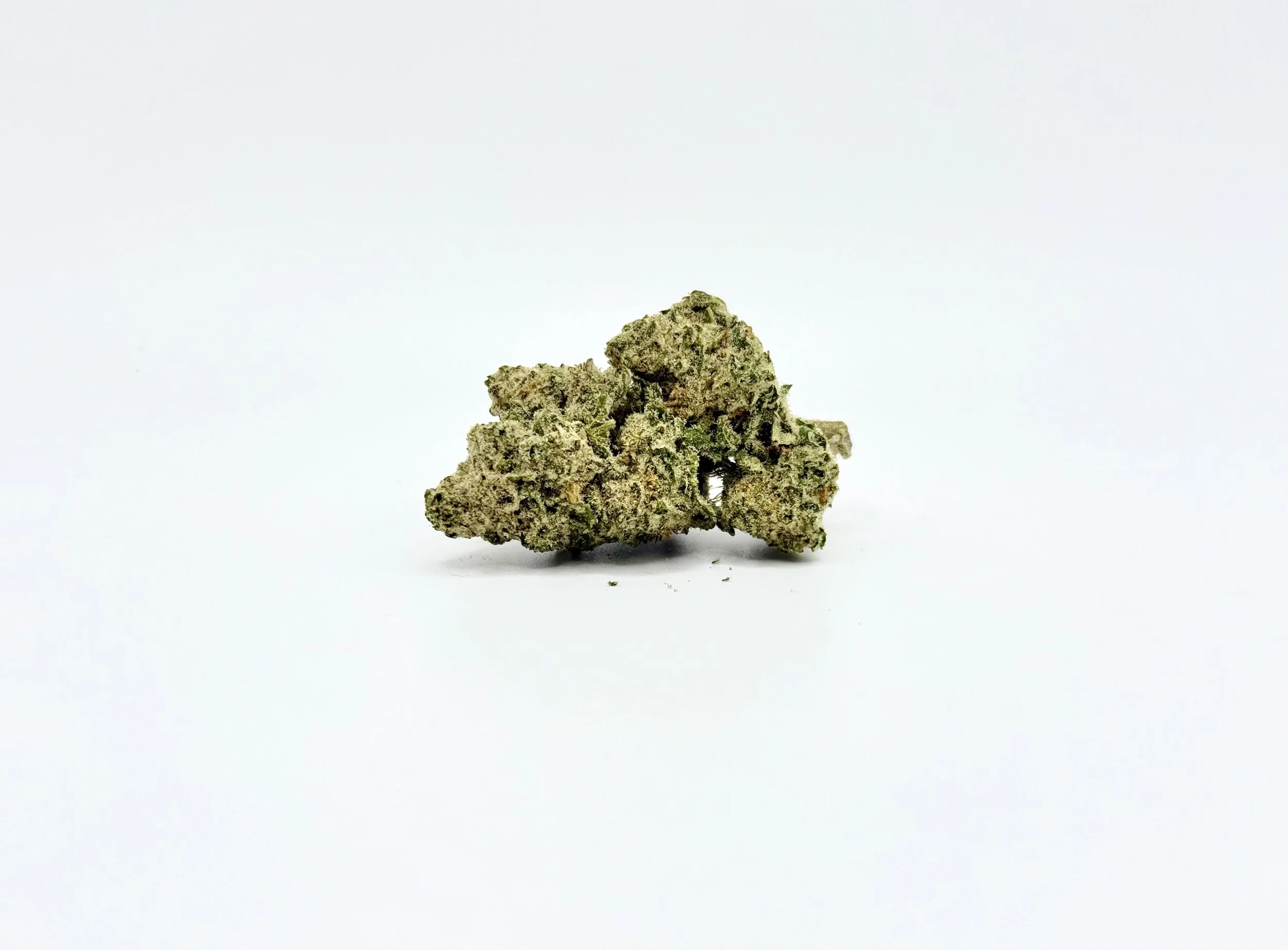 Blueberry Muffin
