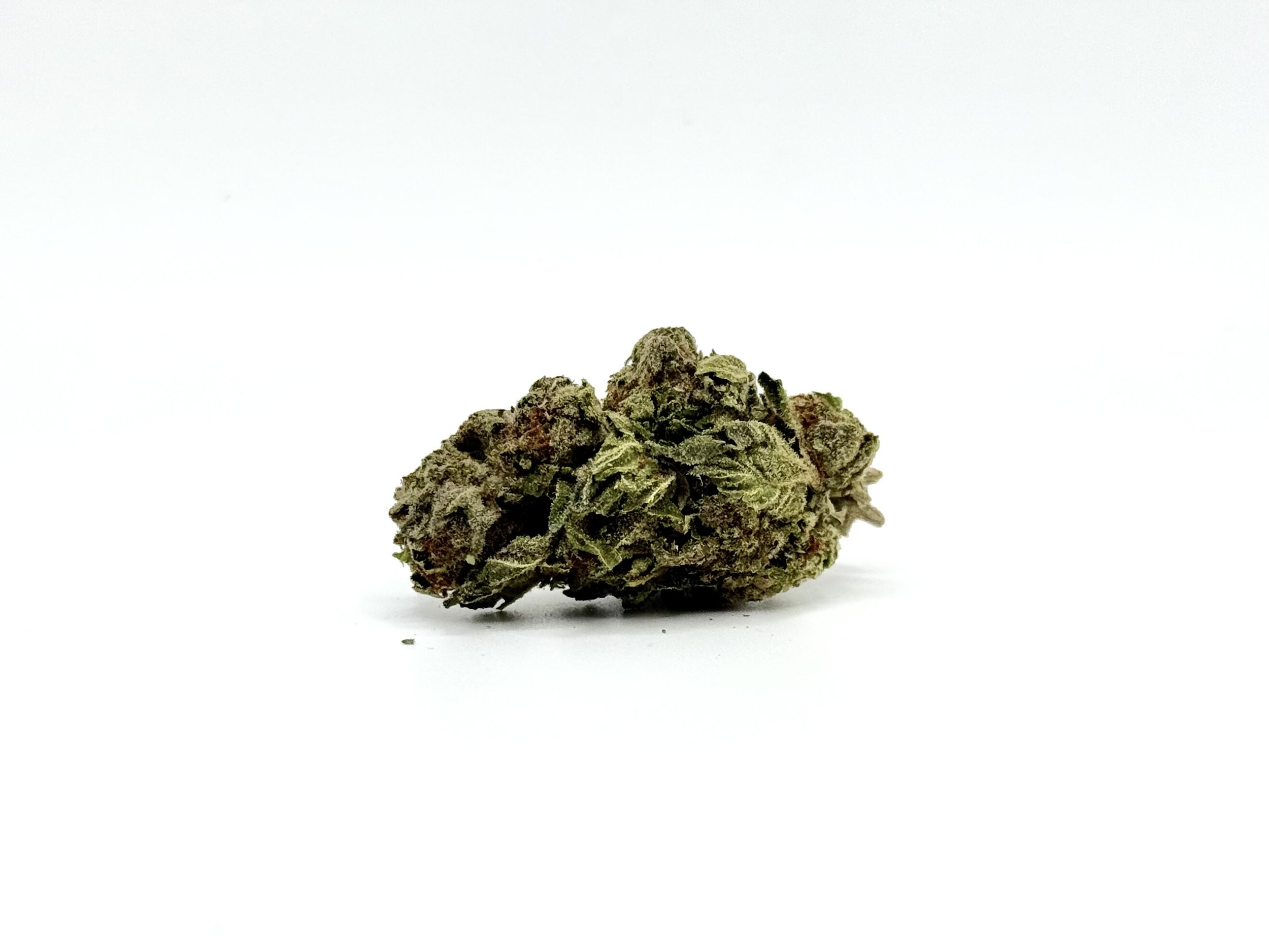 G41 - Gelato 41 THCA Strain