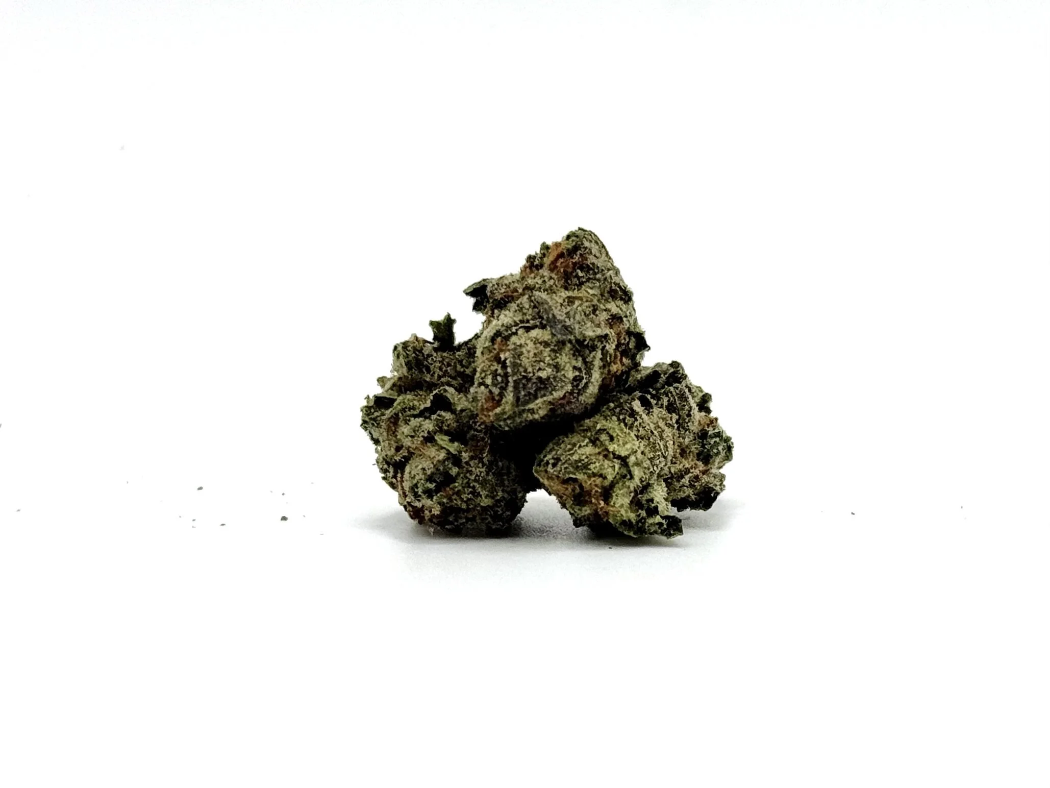 Blueberry Muffin THCA