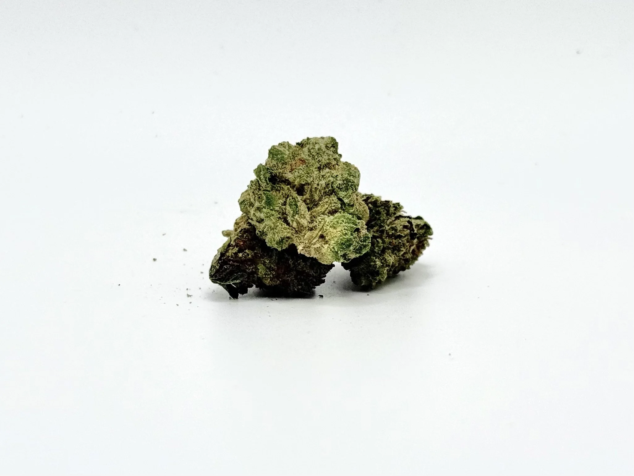 MAC 1 Strain