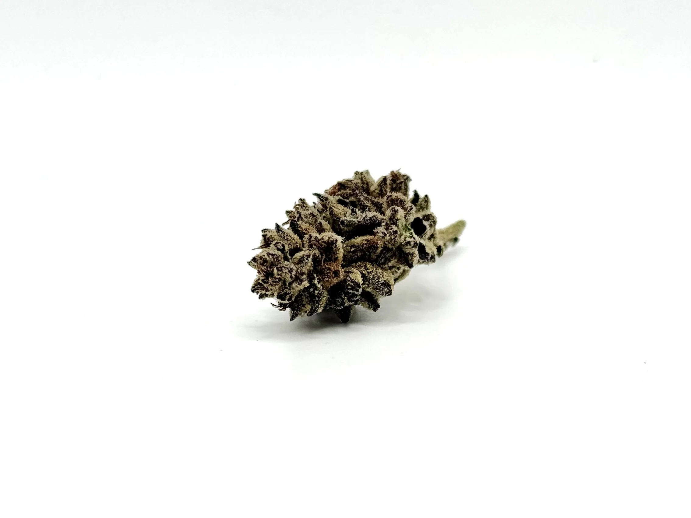 Venom OG Strain Information