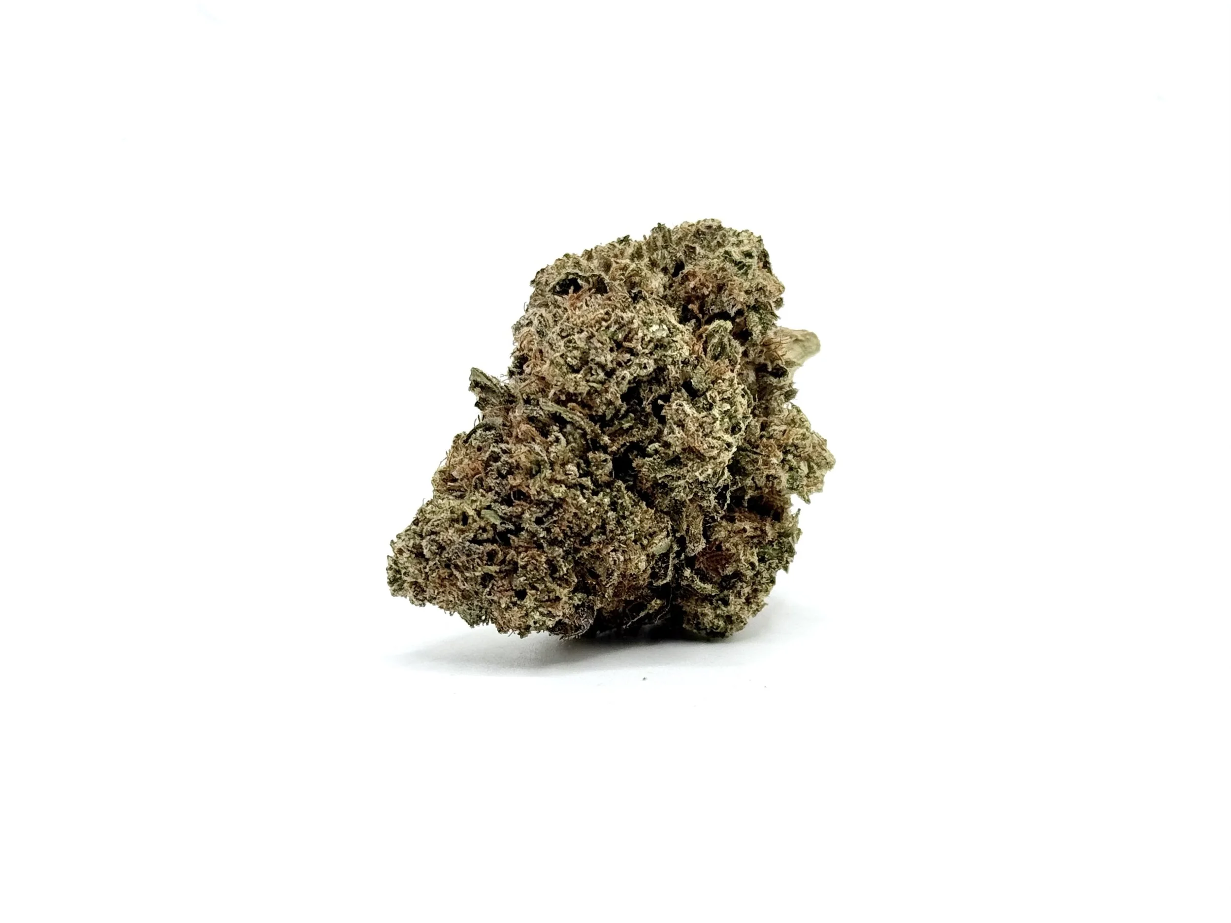 White Russian Strain Information