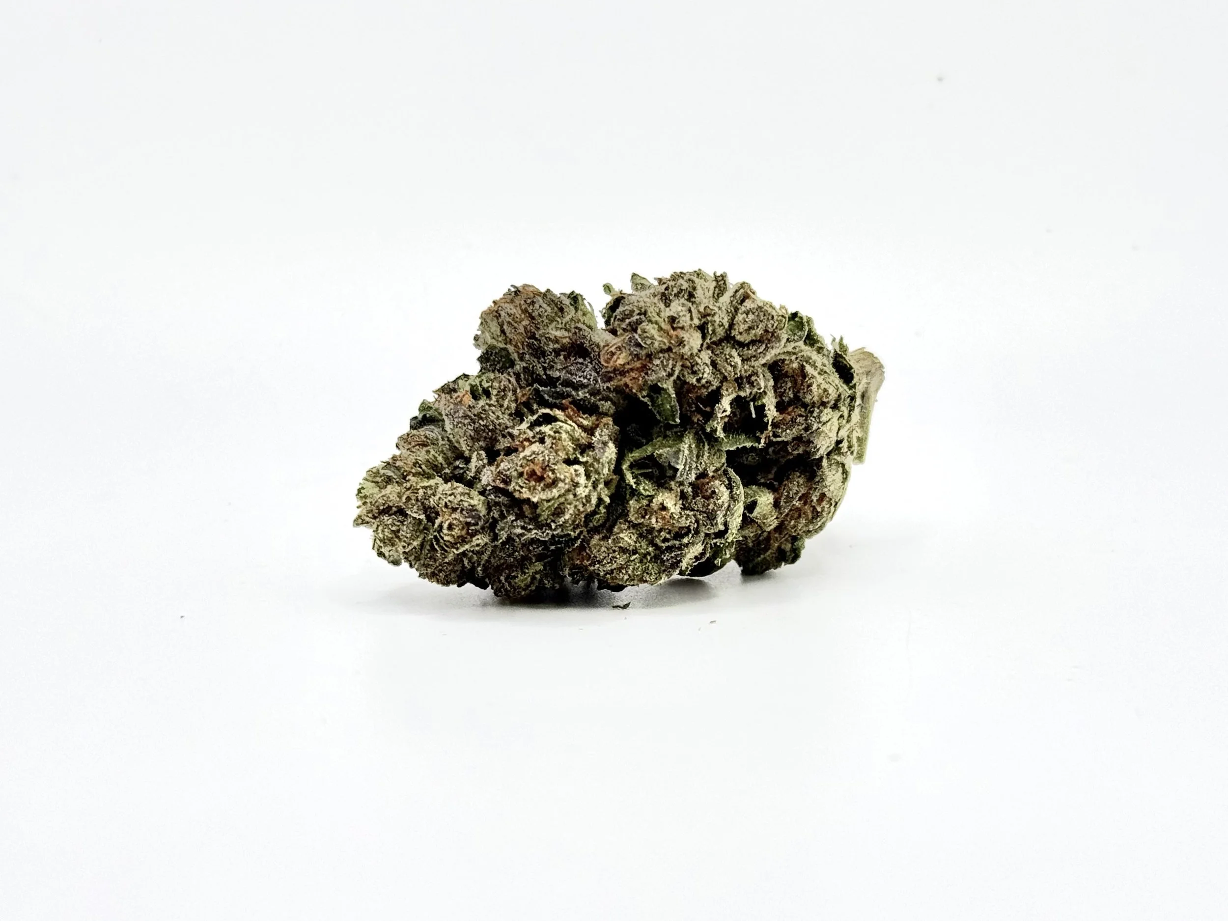 Gelatti Cake Strain