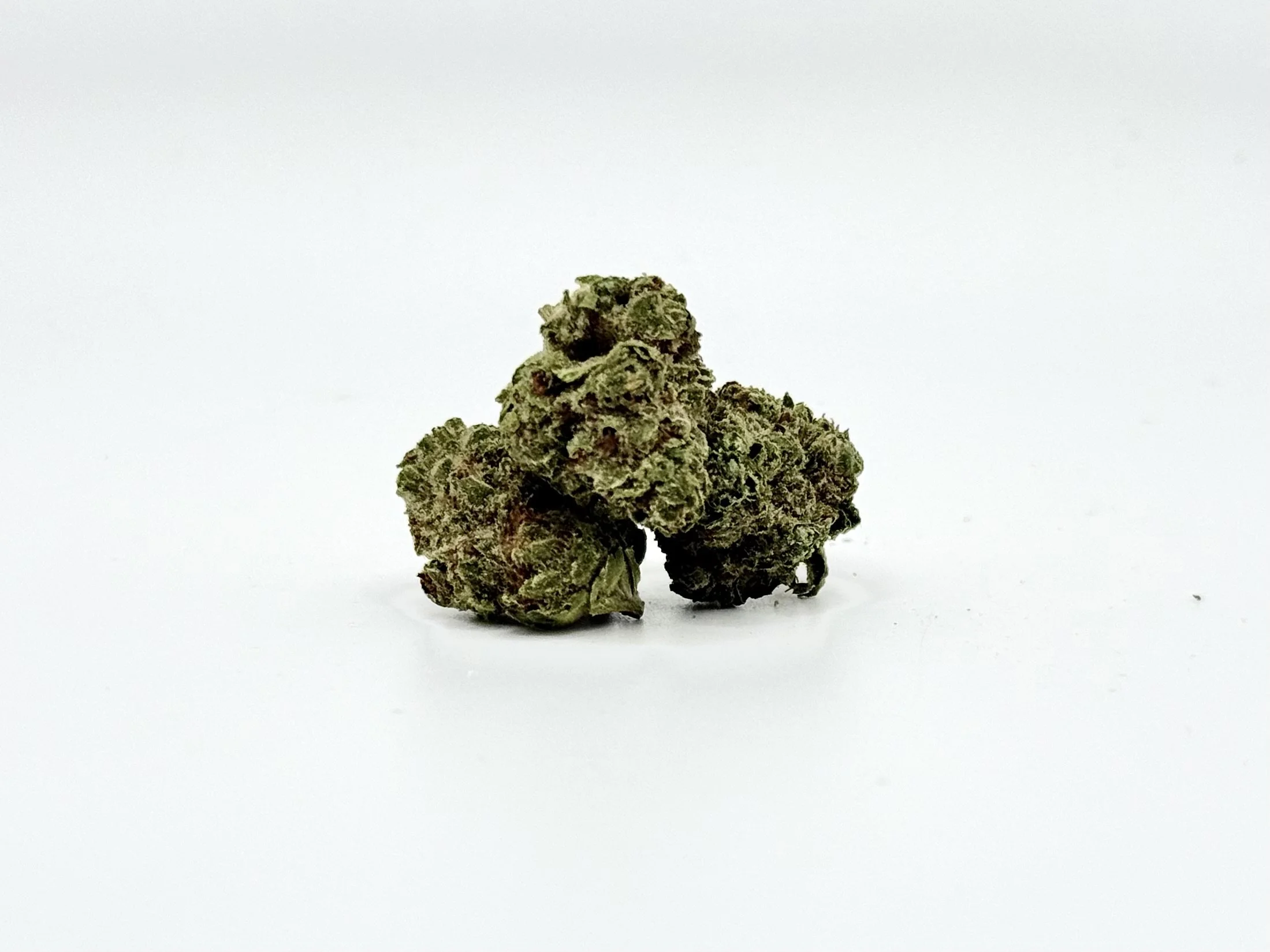 Gushers Strain