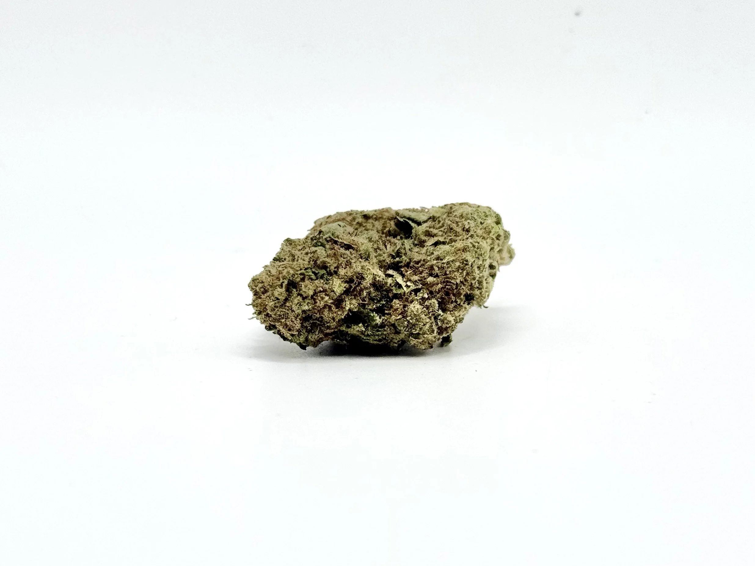 Black Cherry Gelato Strain 2