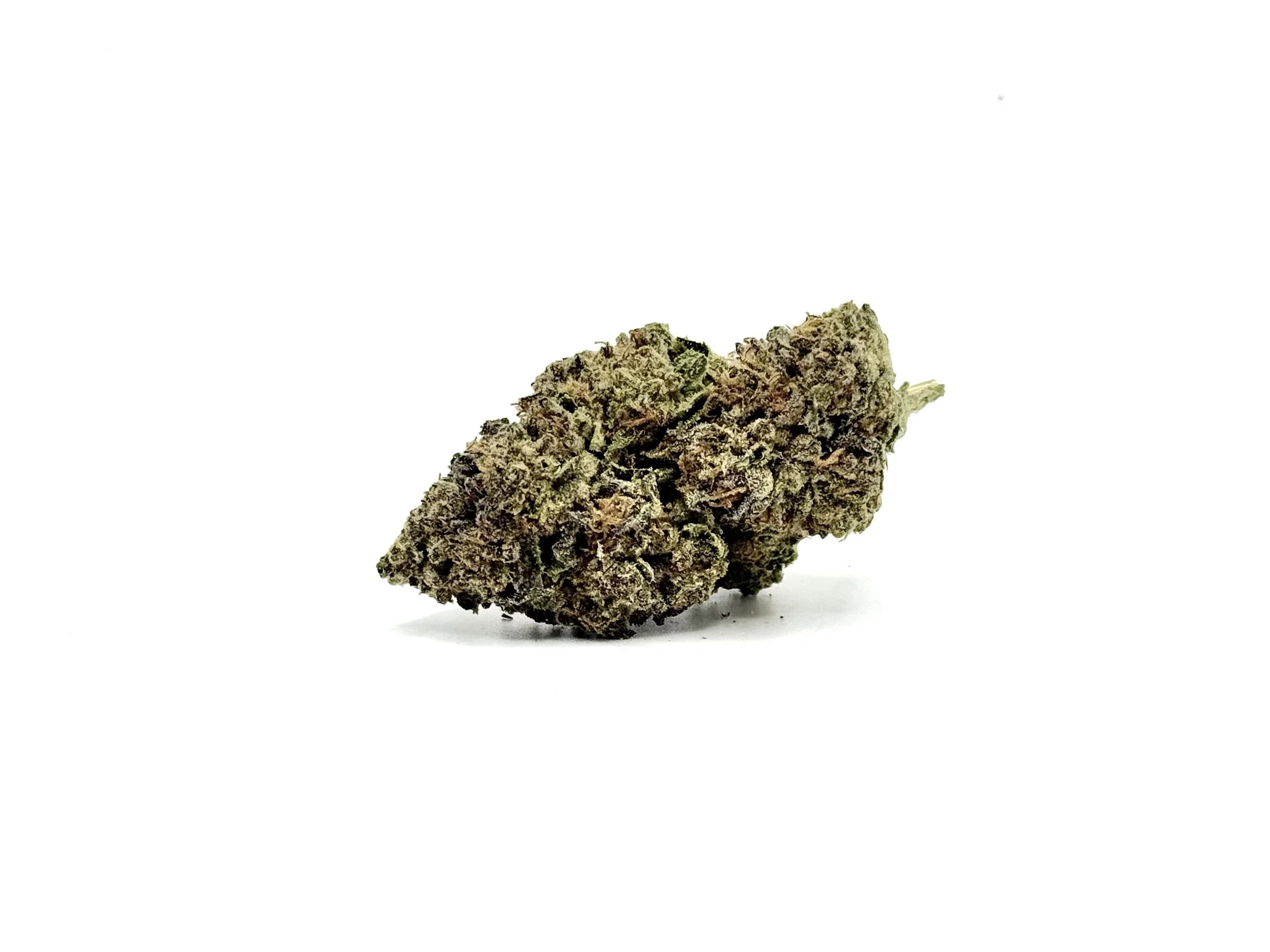 Cocolato Strain 2