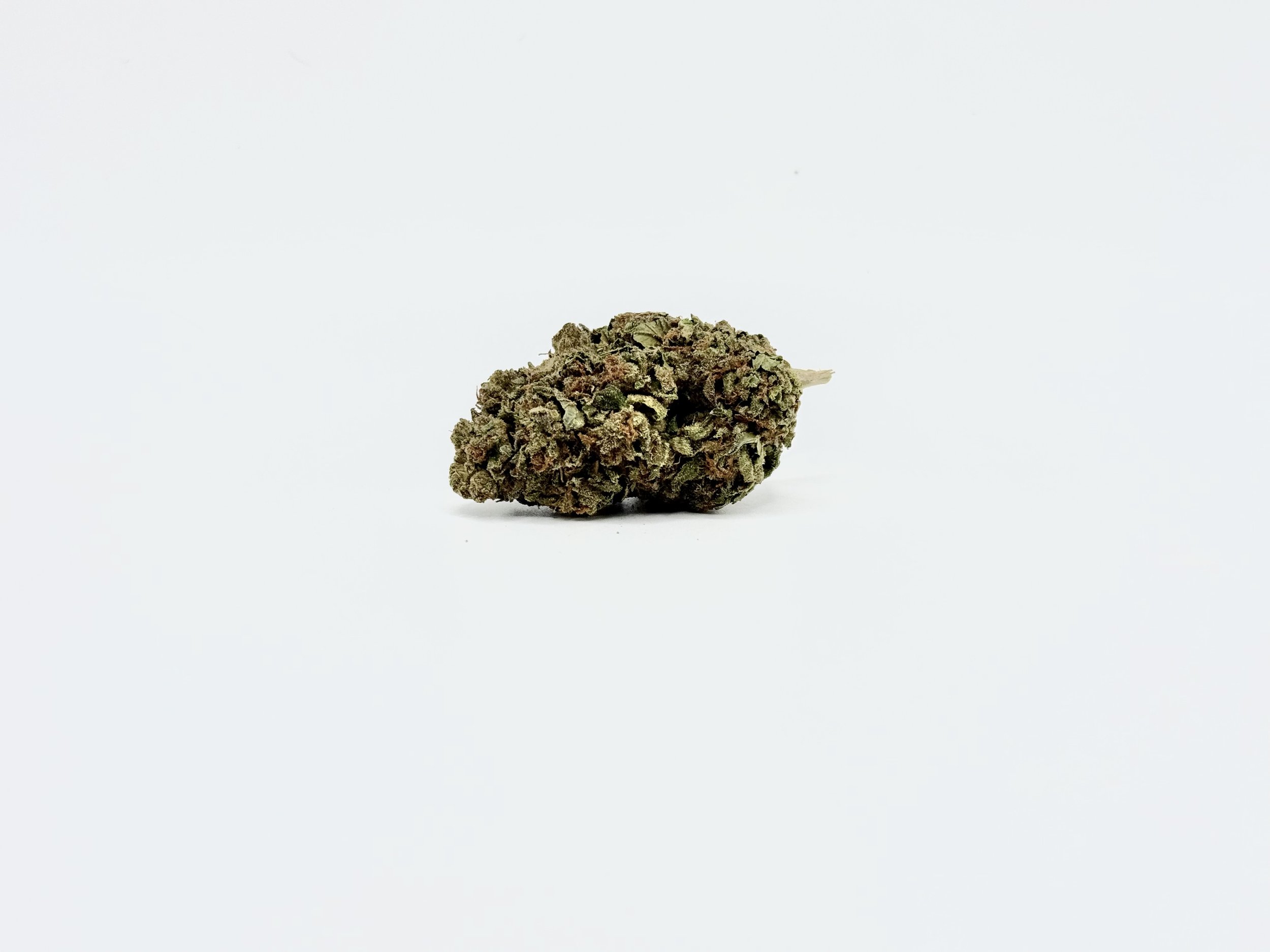Gelato Strain 4
