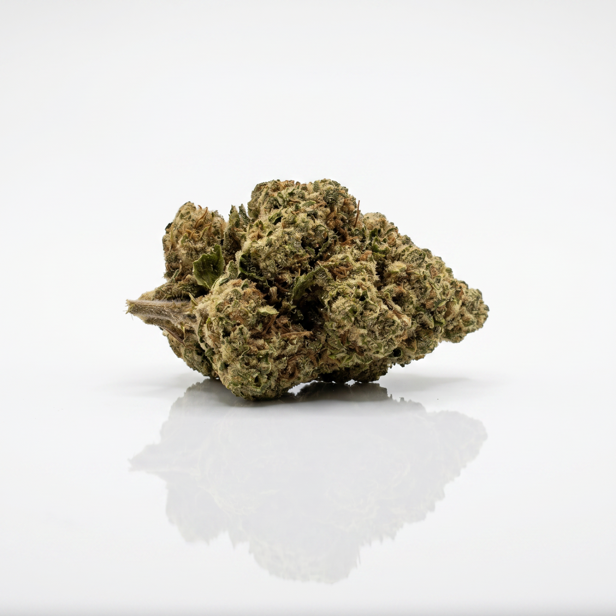 Blueberry Muffin Strain Information