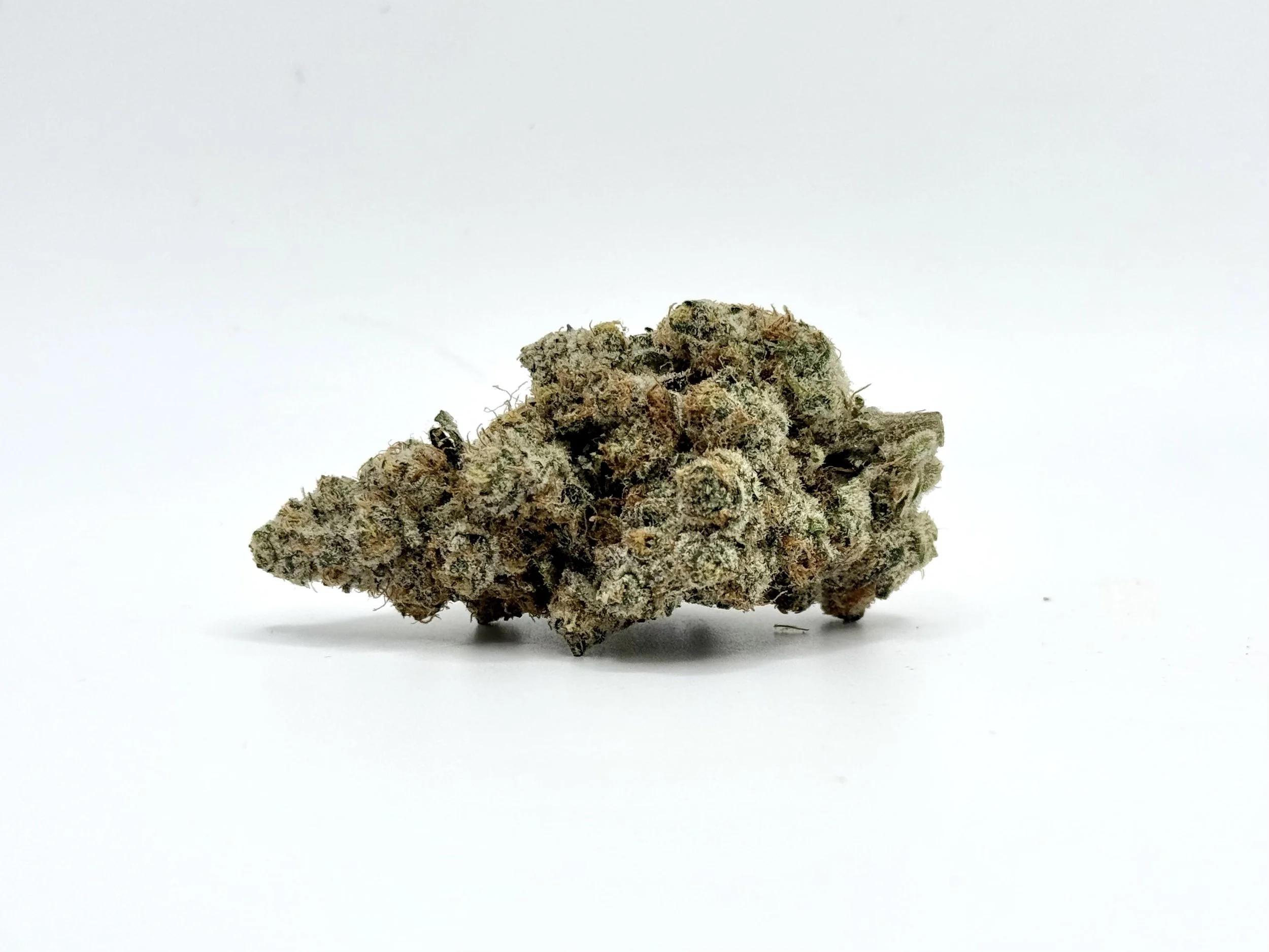 Blackberry Super Boof