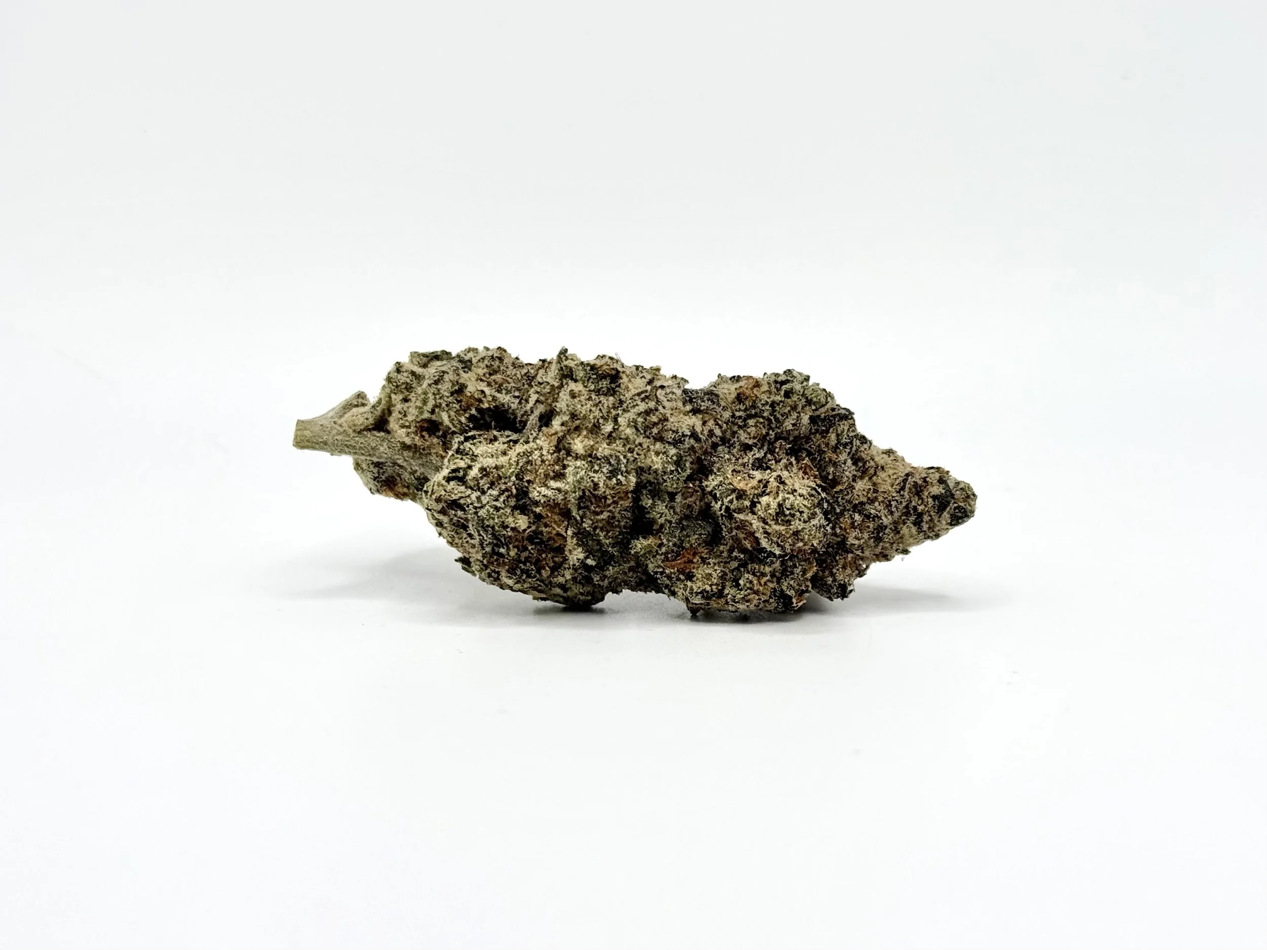 Pure Michigan Strain Information