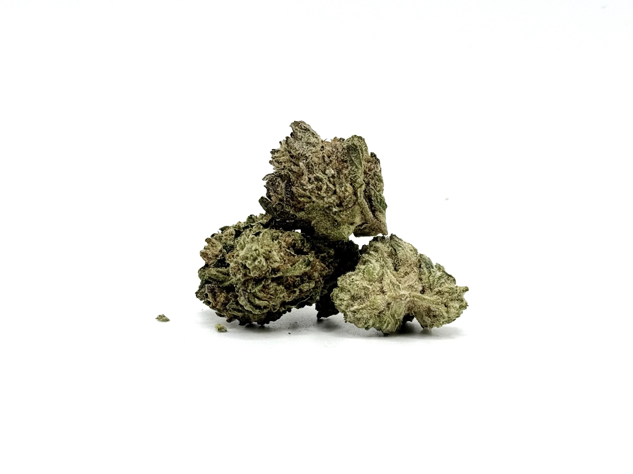 Pompei Strain Information