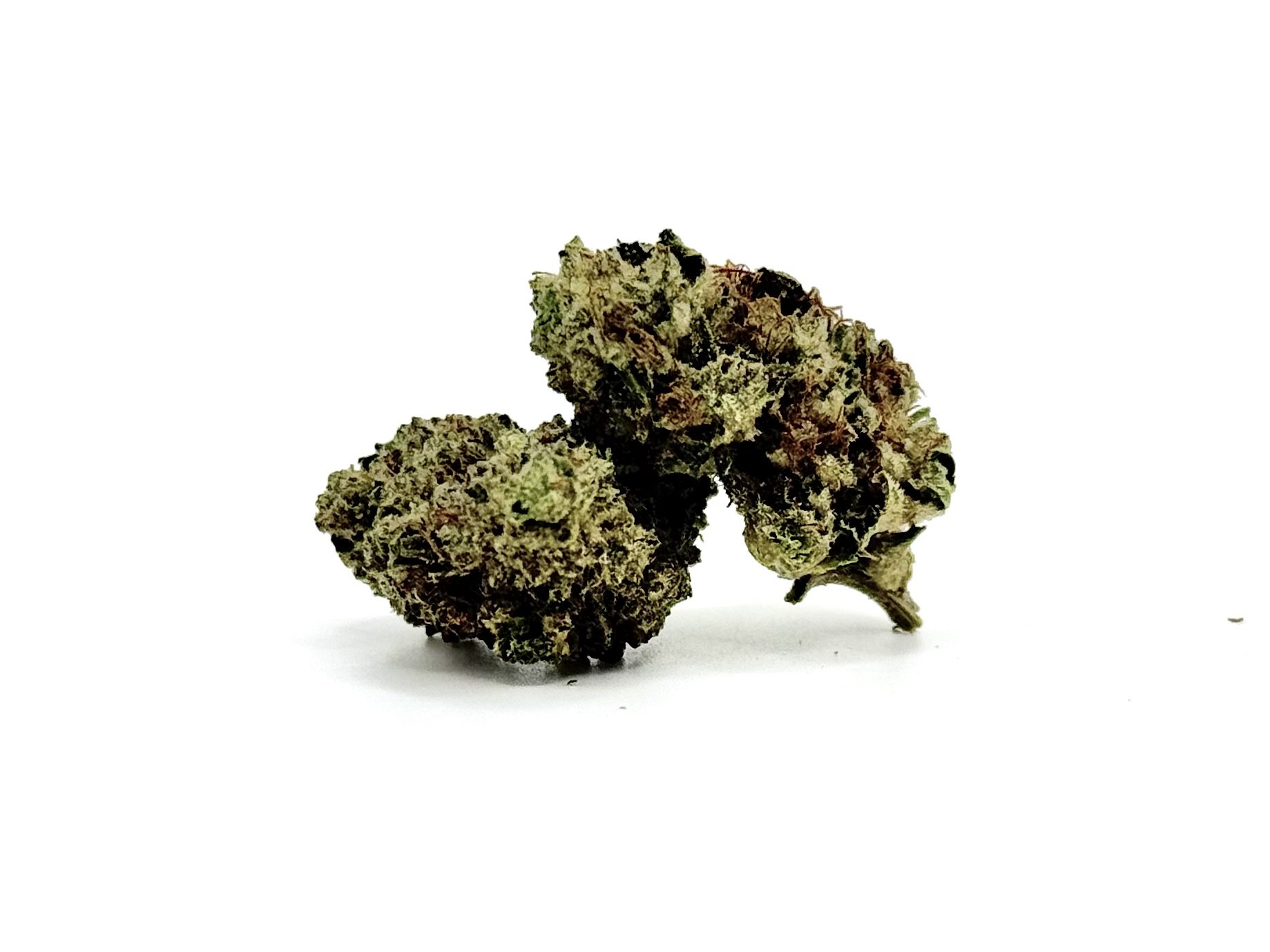 Slapz Strain Information