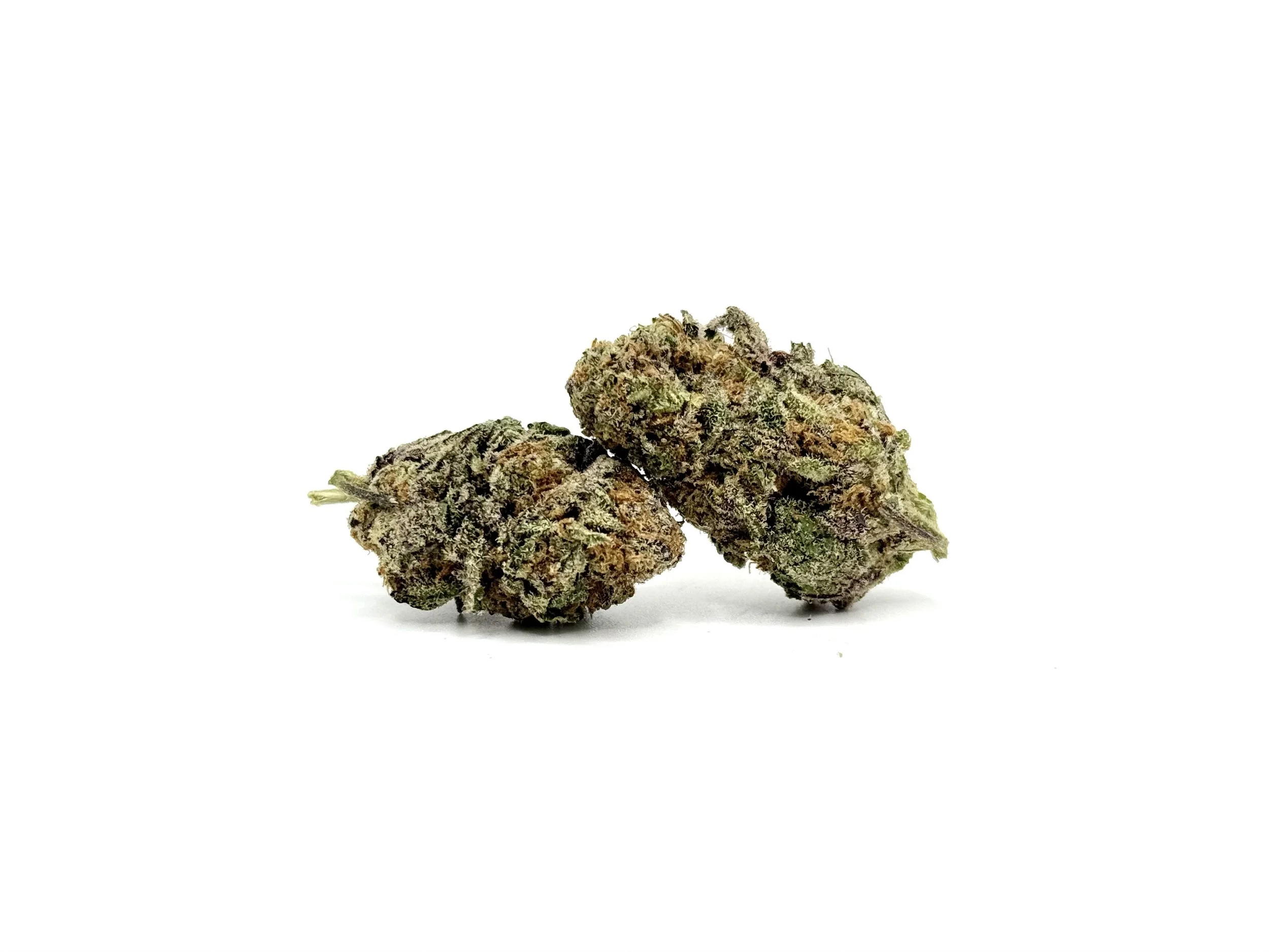 What are the effects of Italian Ice strain?