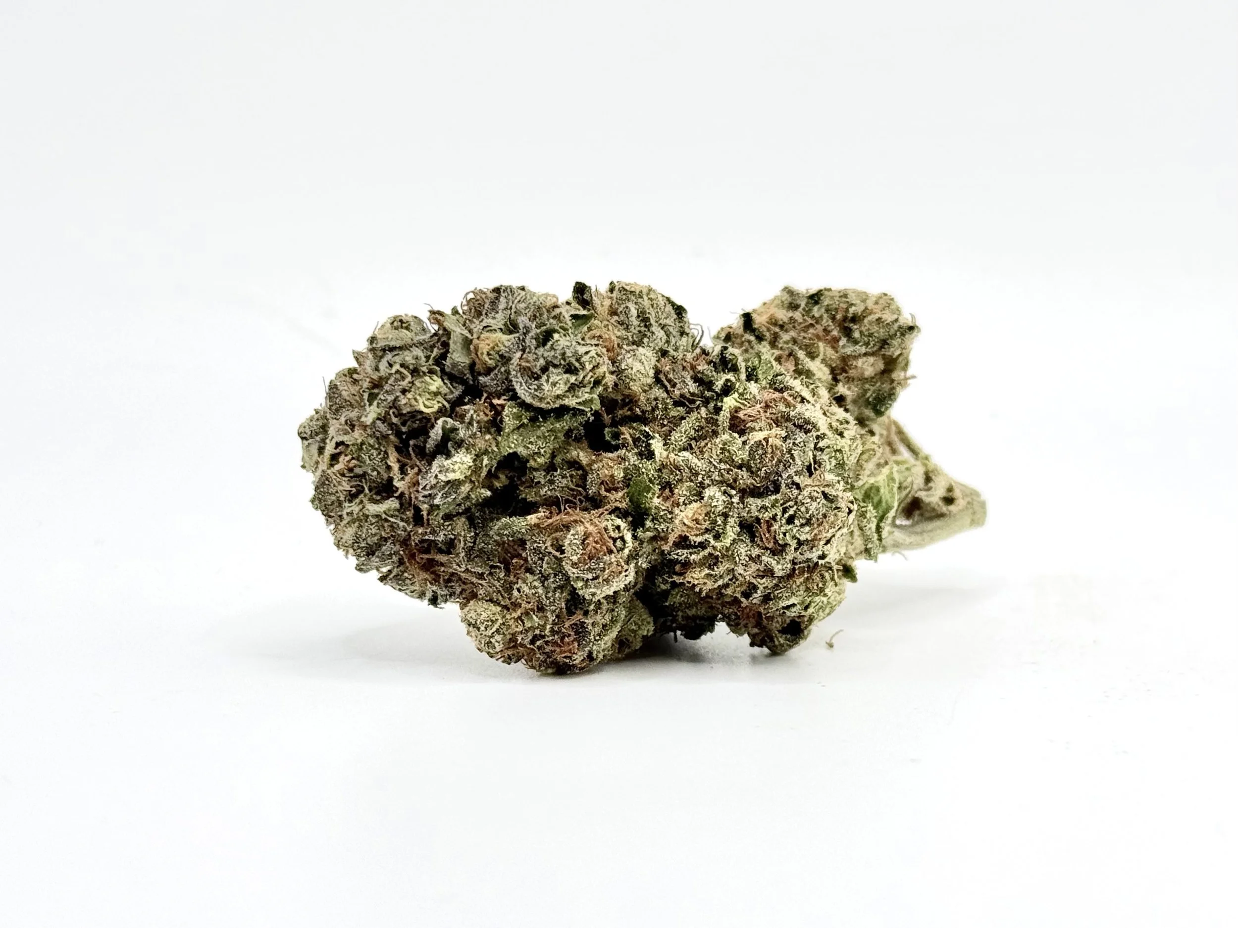 Italian Ice strain