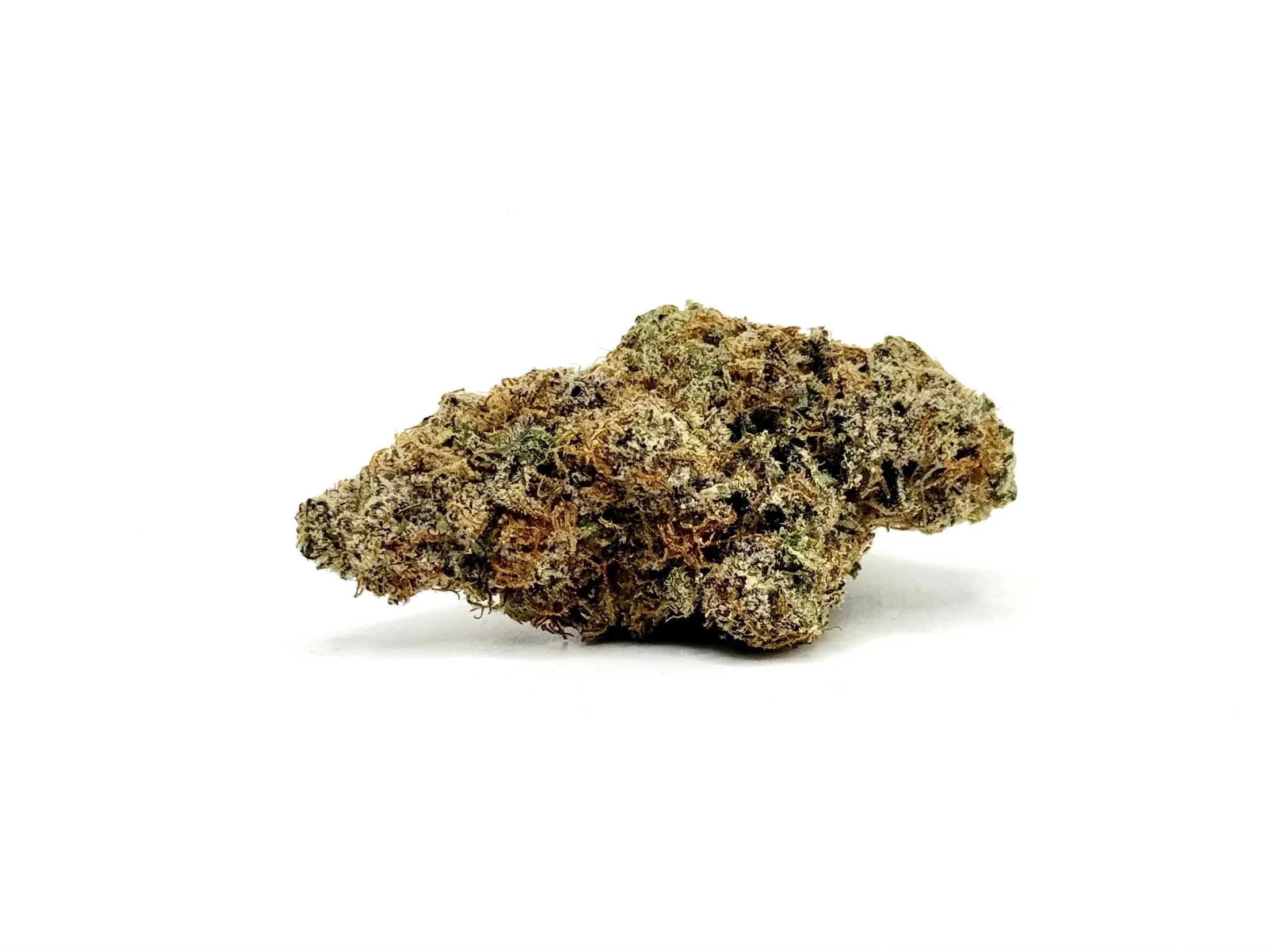 What are the effects of Sheesh strain?