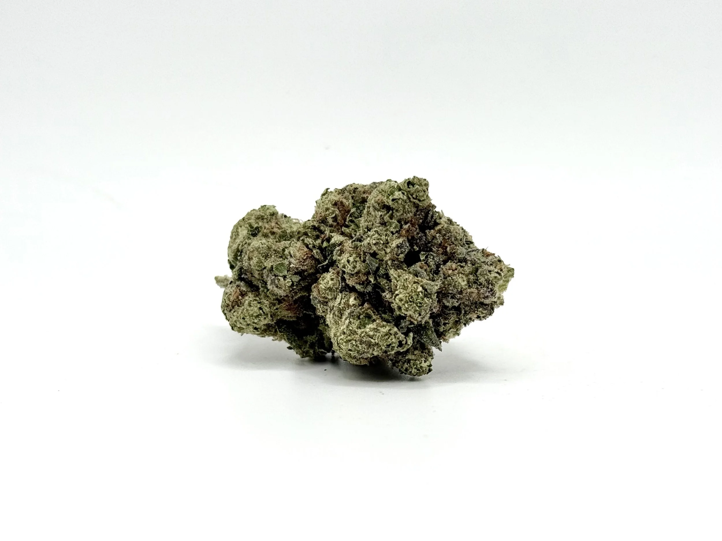 What are the effects of Gascotti strain?