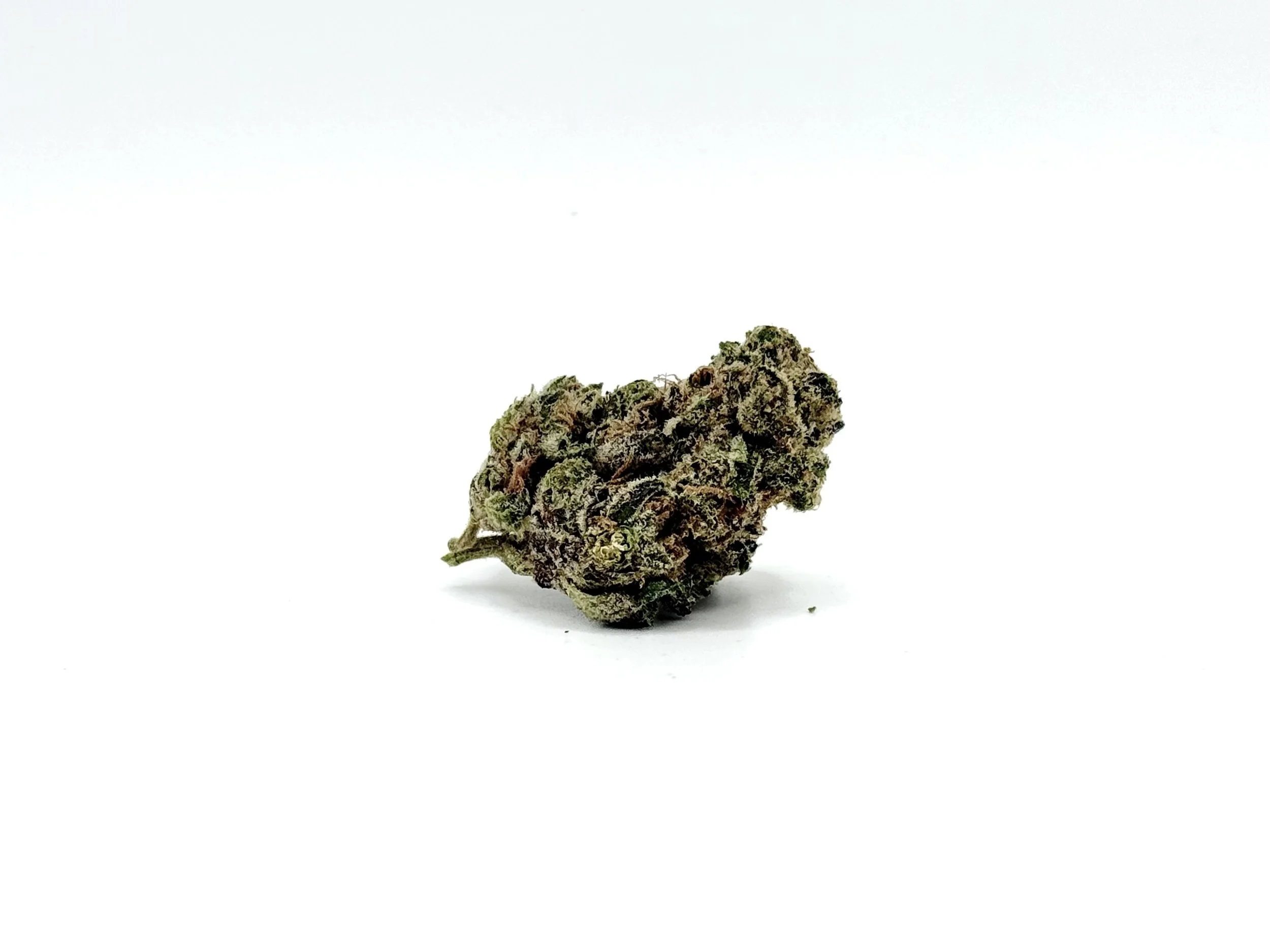 What are the effects of Space Station strain?