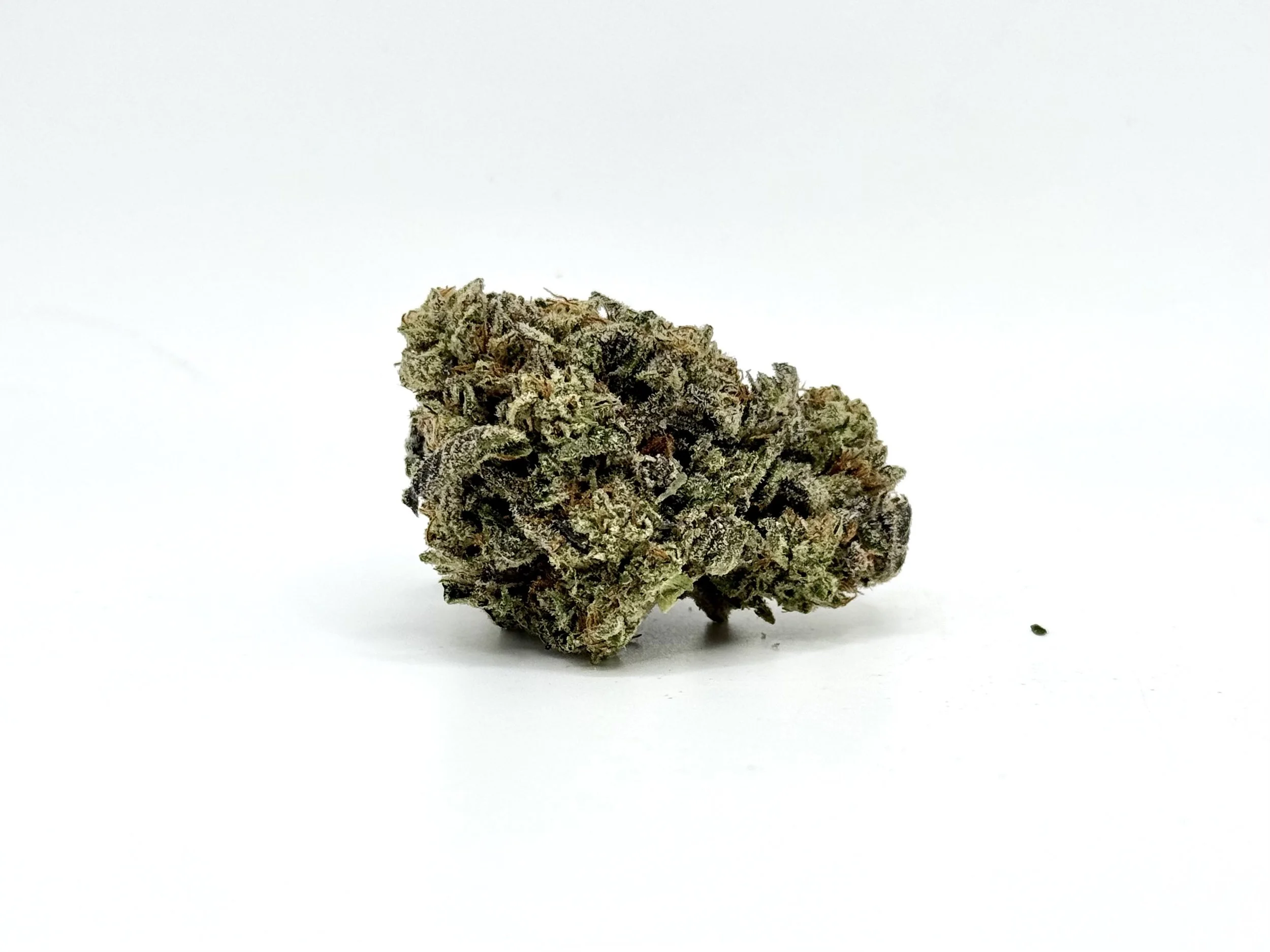 Gelato King.jpeg