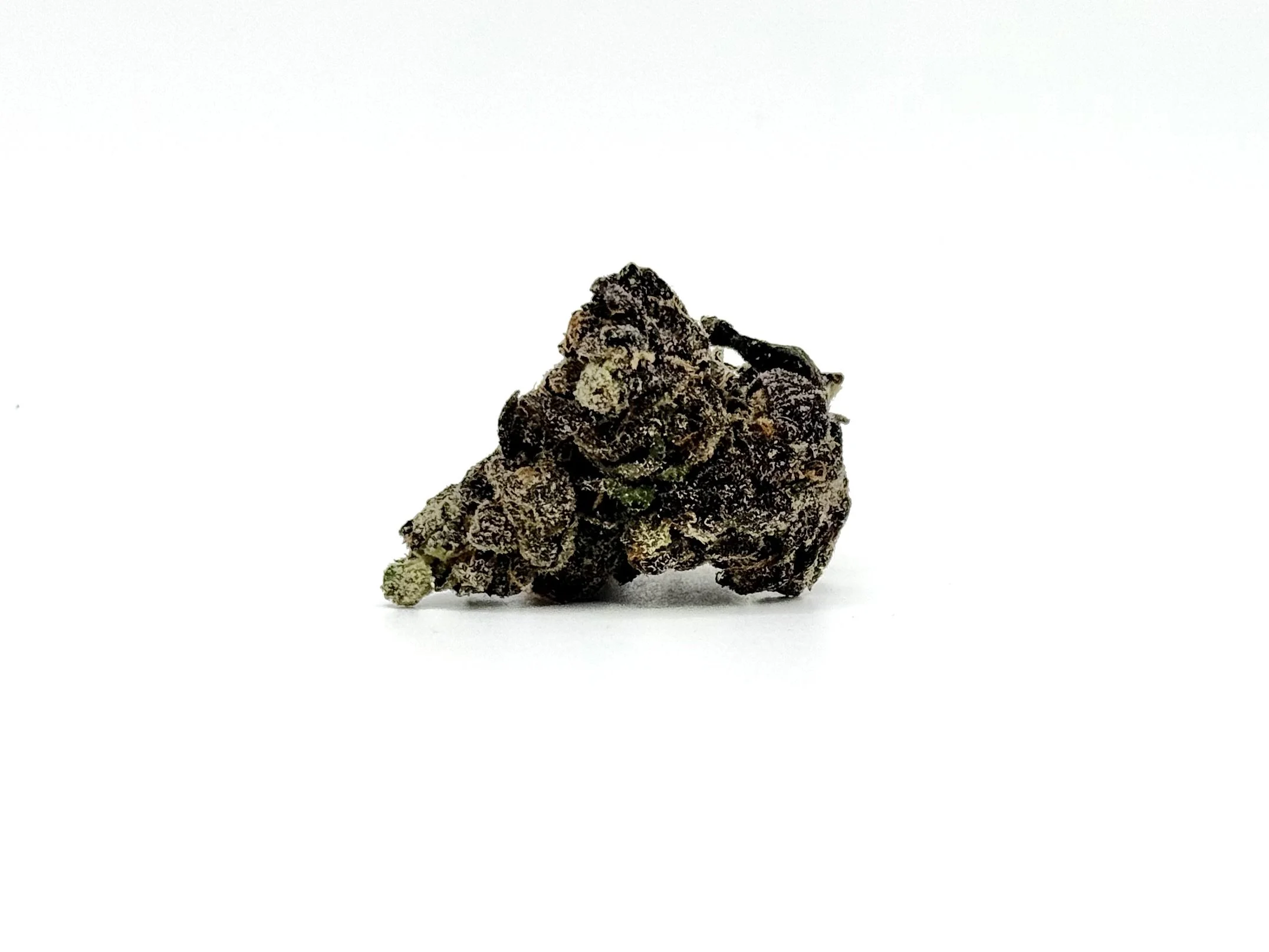 Brownie Scout Strain Information