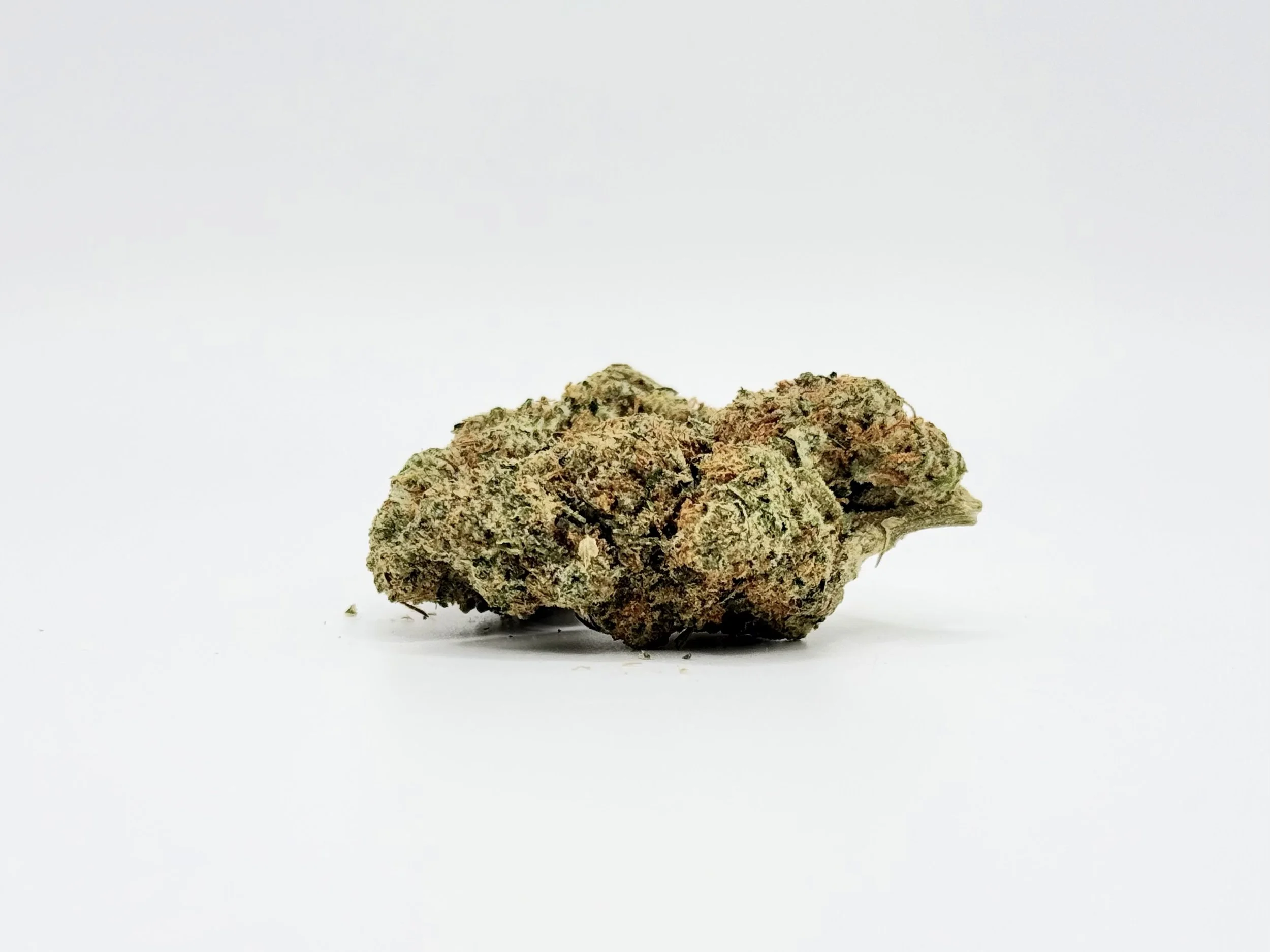 Melon Haze Flower Strain