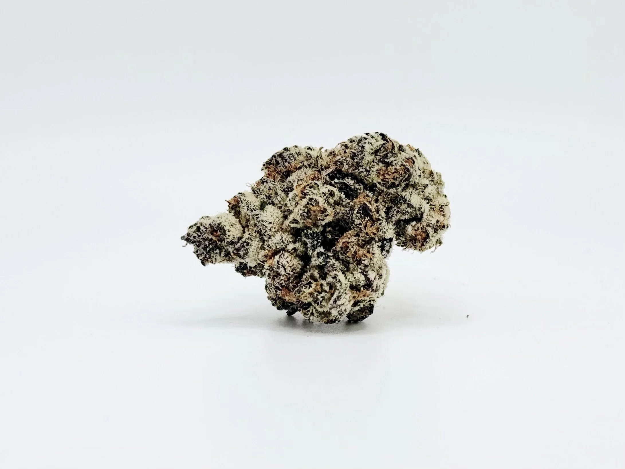 Black Piranha THCA Flower