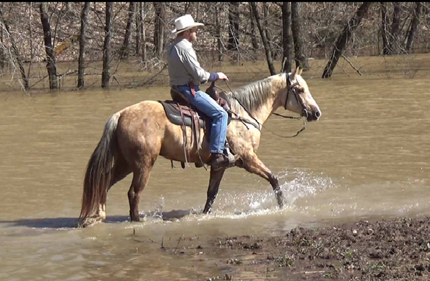 Clay in the flood waters..Movie_SnapshotA.jpg