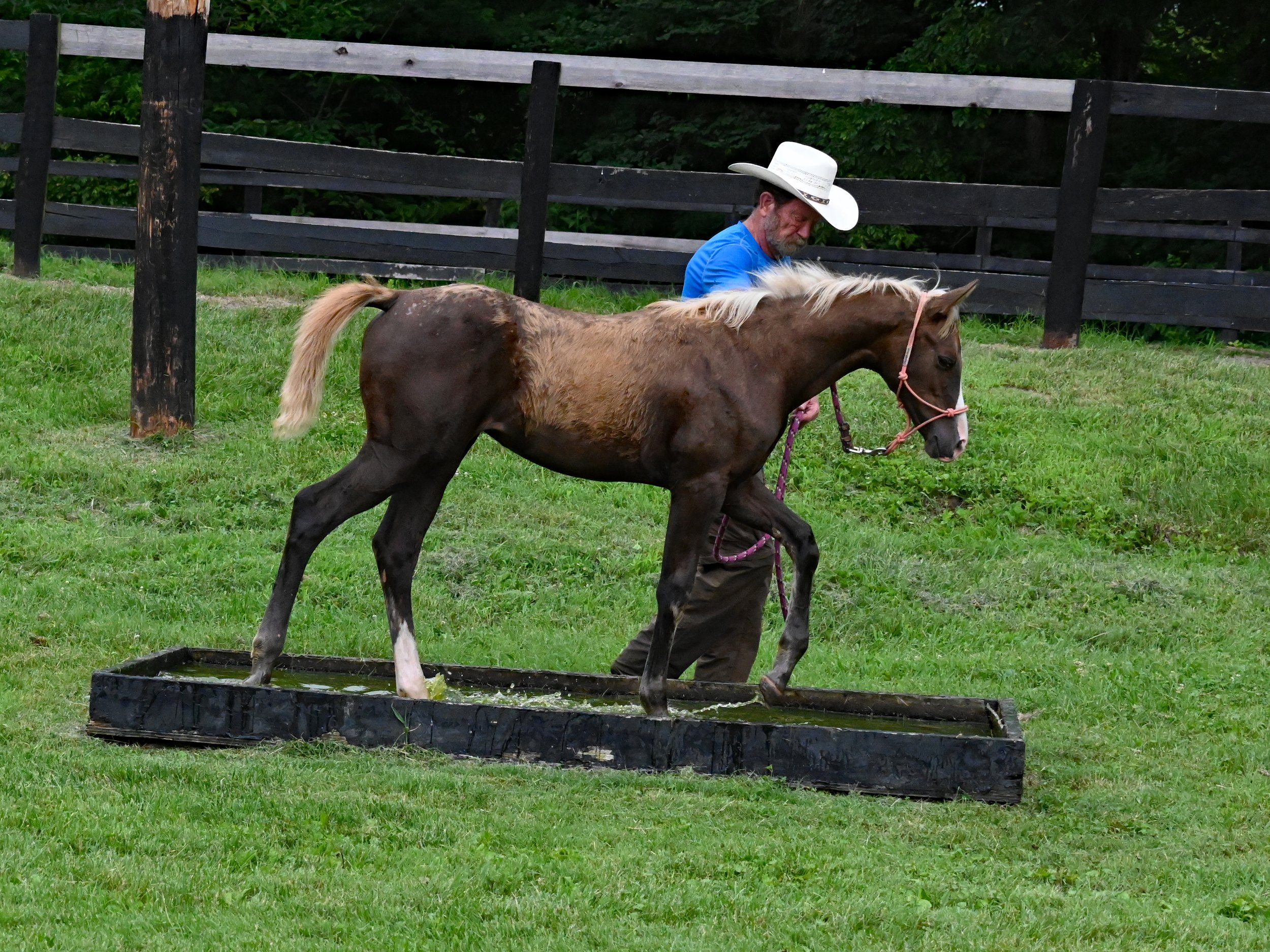 DSC_8827A.jpg