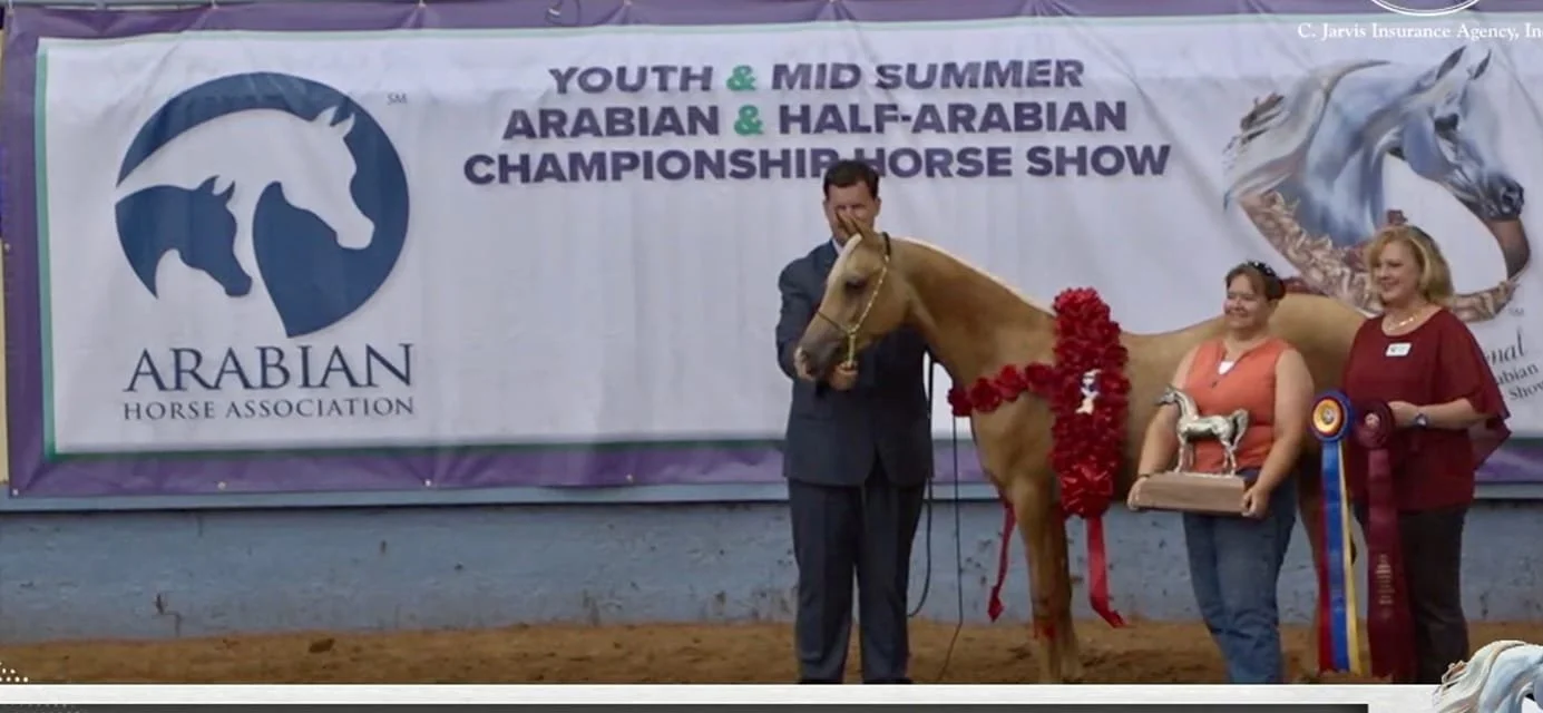 Steel the gold  mid summer nats.jpg