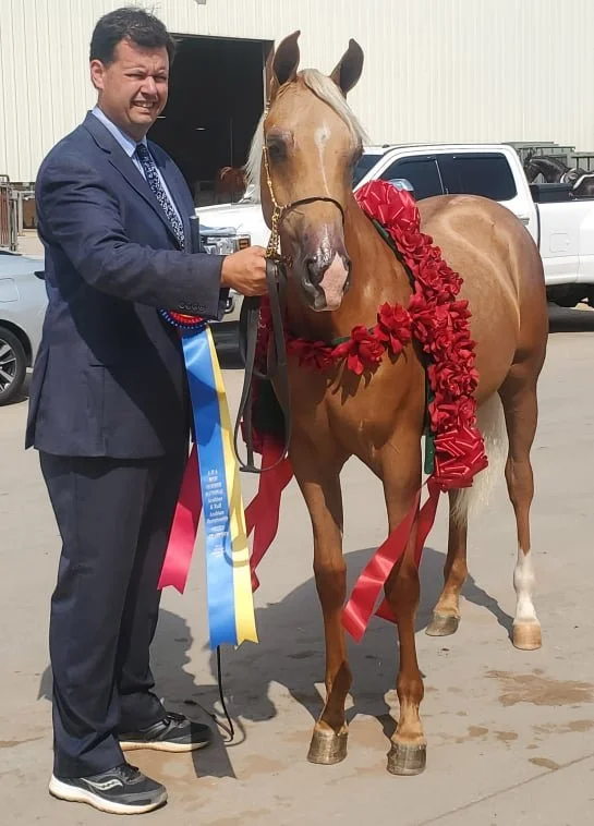 Steel The Gold Nat Champ.jpg