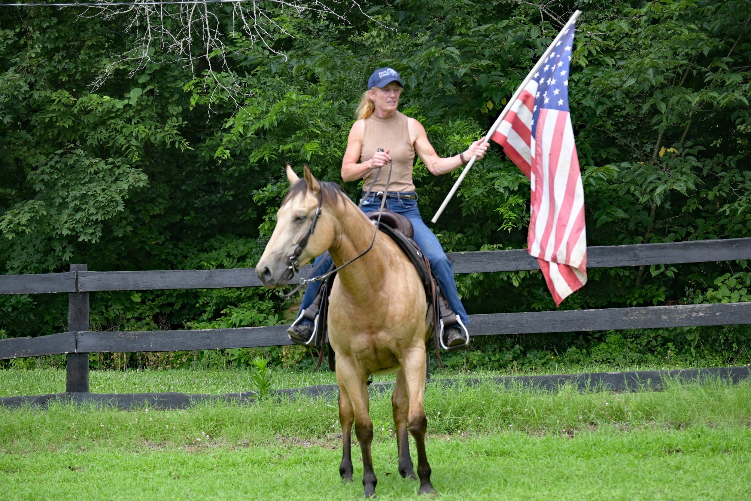 Flag arms 1.jpg