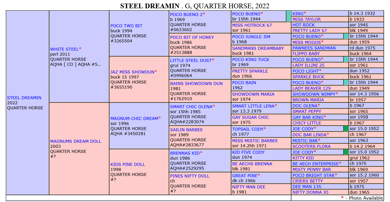 Dutch pedigree.png