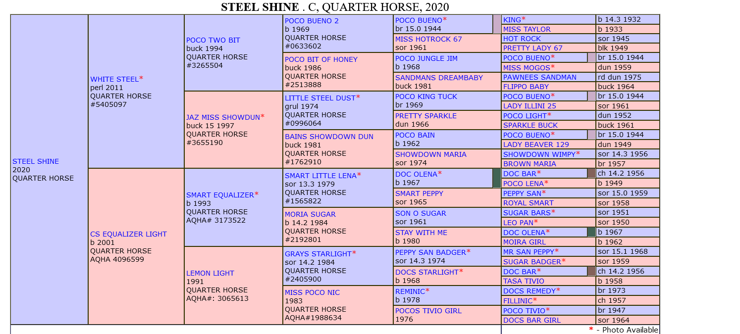 Shine pedigree.png